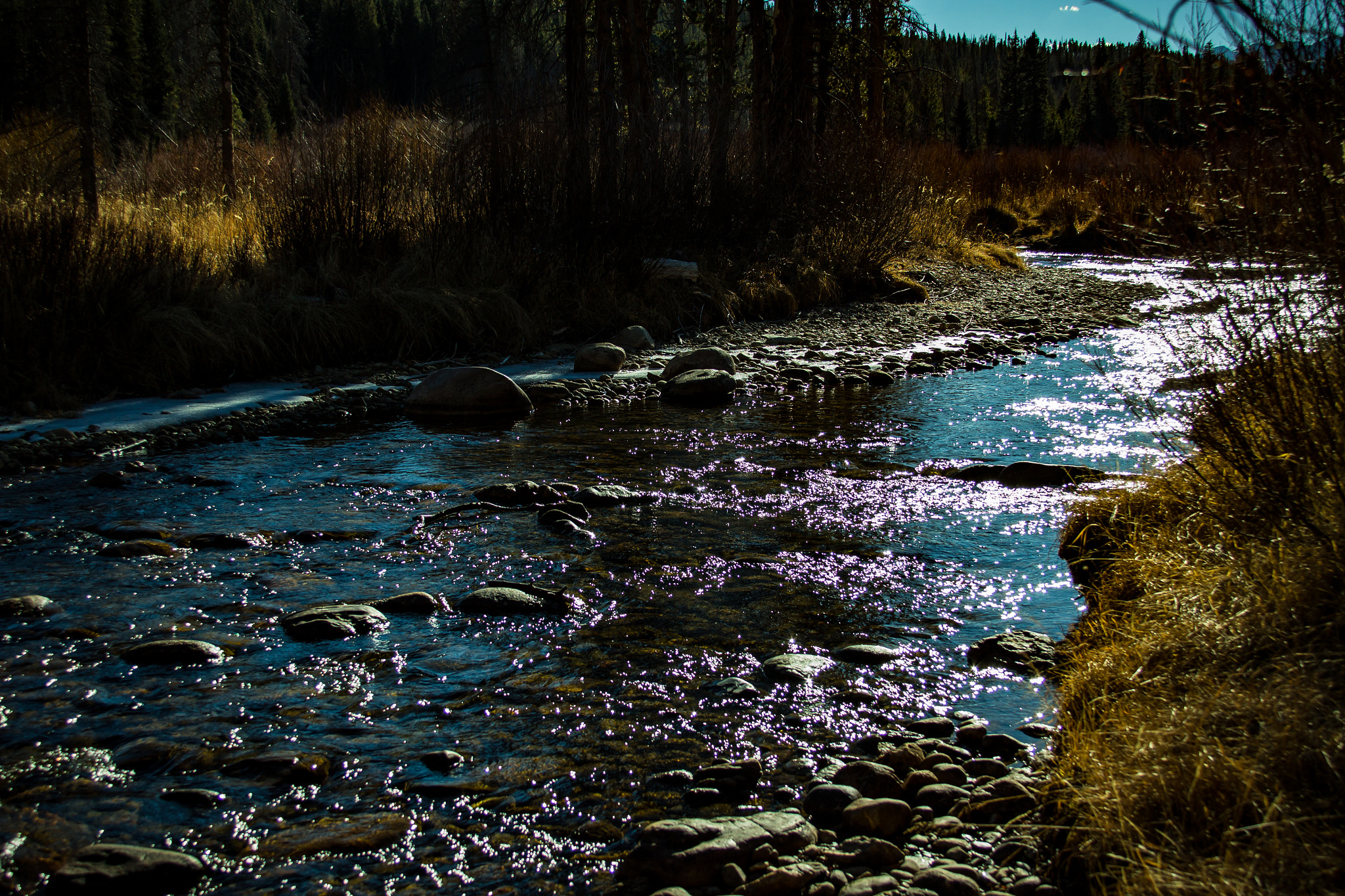Canon EOS 100D (EOS Rebel SL1 / EOS Kiss X7) sample photo. Experimental forest river photography