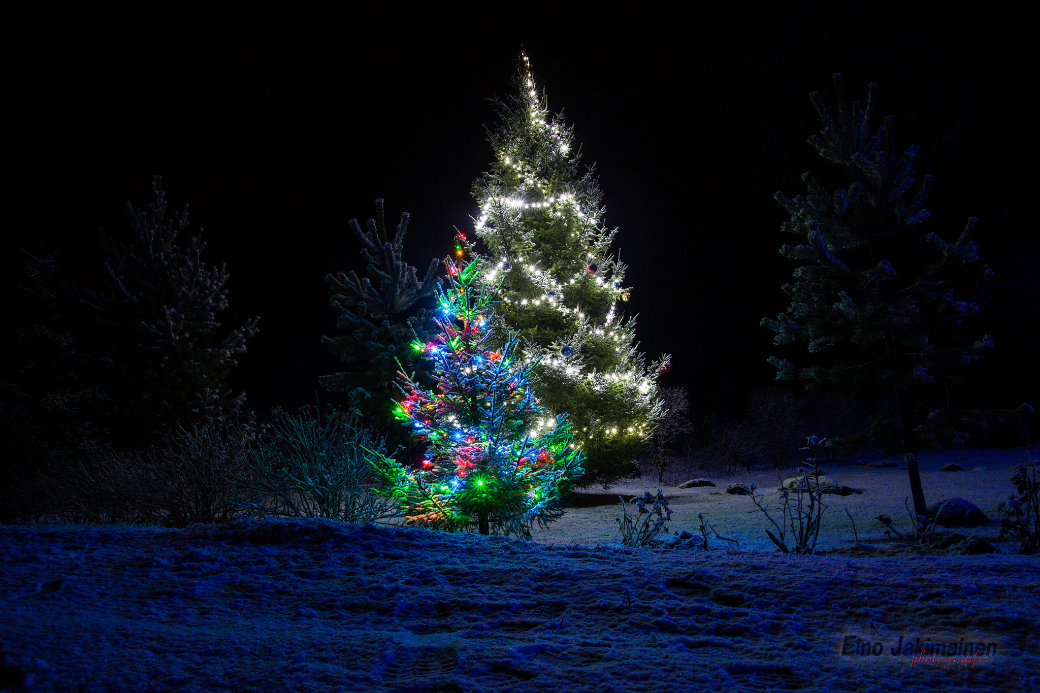 Tamron SP AF 17-50mm F2.8 XR Di II LD Aspherical (IF) sample photo. Christmas tree photography