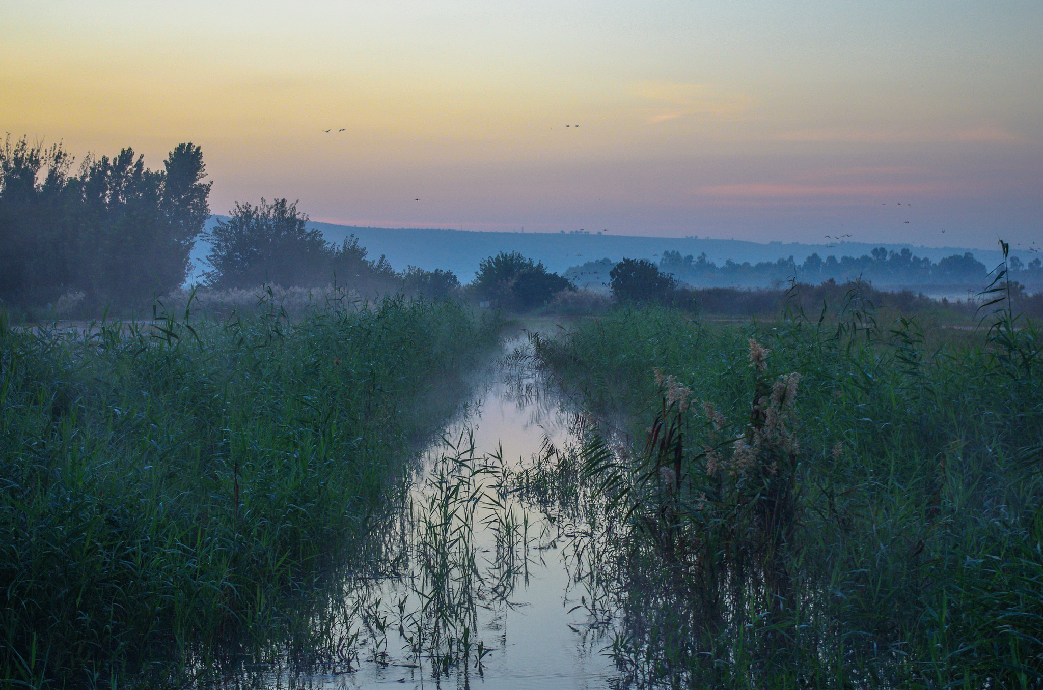 Pentax K-5 IIs sample photo. Foggy river photography