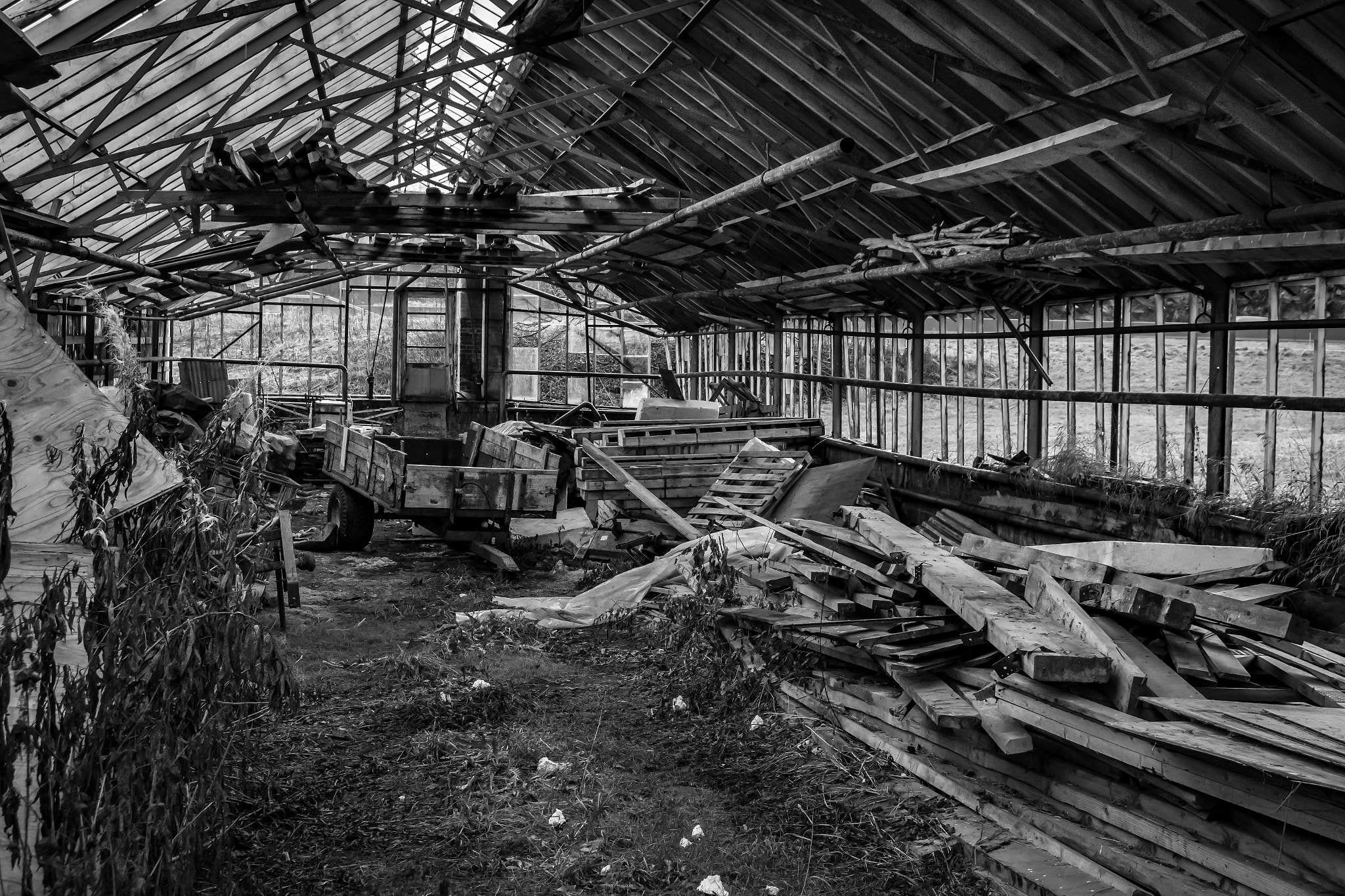 Samsung NX30 + Samsung NX 18-55mm F3.5-5.6 OIS sample photo. Inside abandoned greenhouse photography