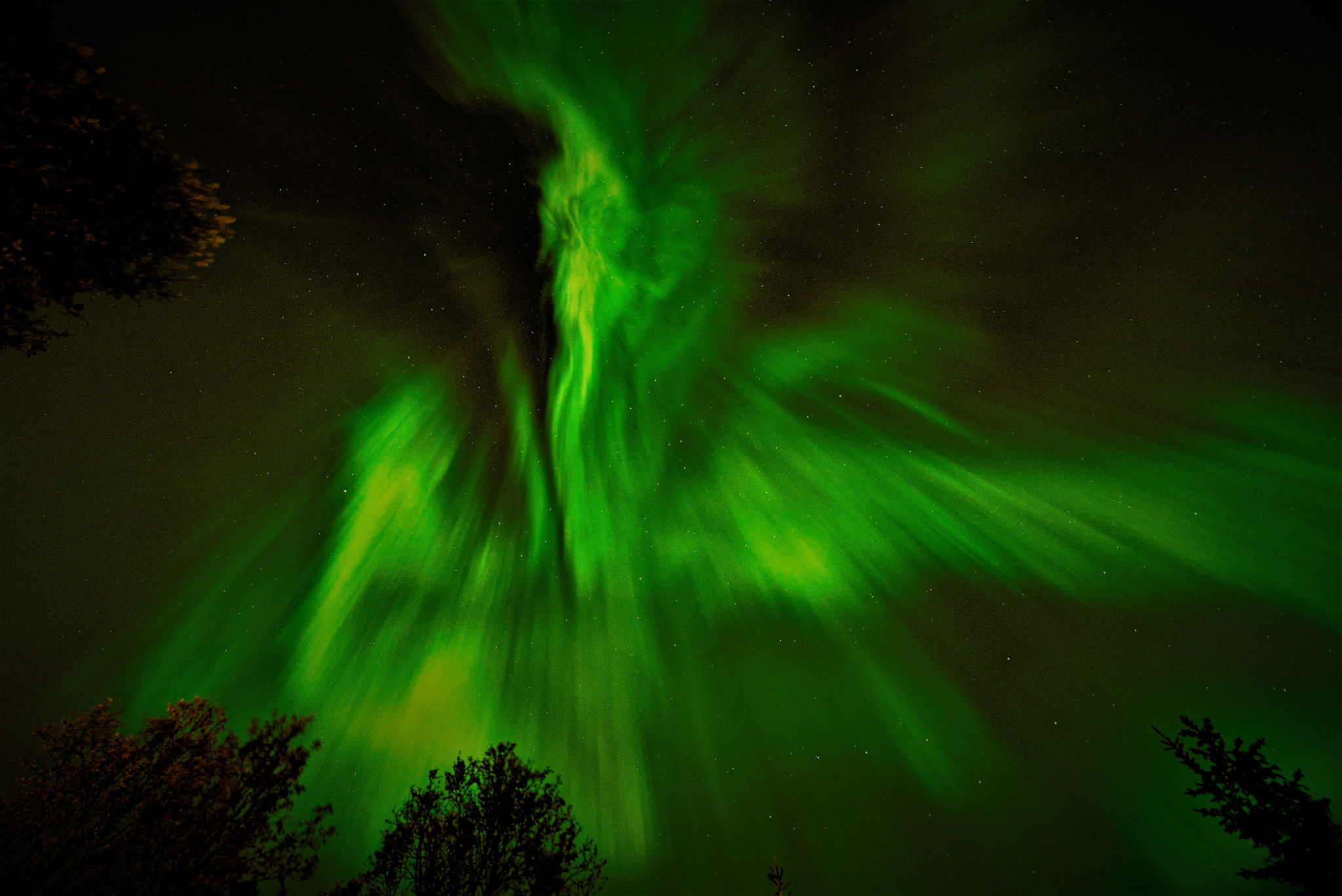 Samyang 14mm F2.8 ED AS IF UMC sample photo. Borealis lives it own life - high up.... photography