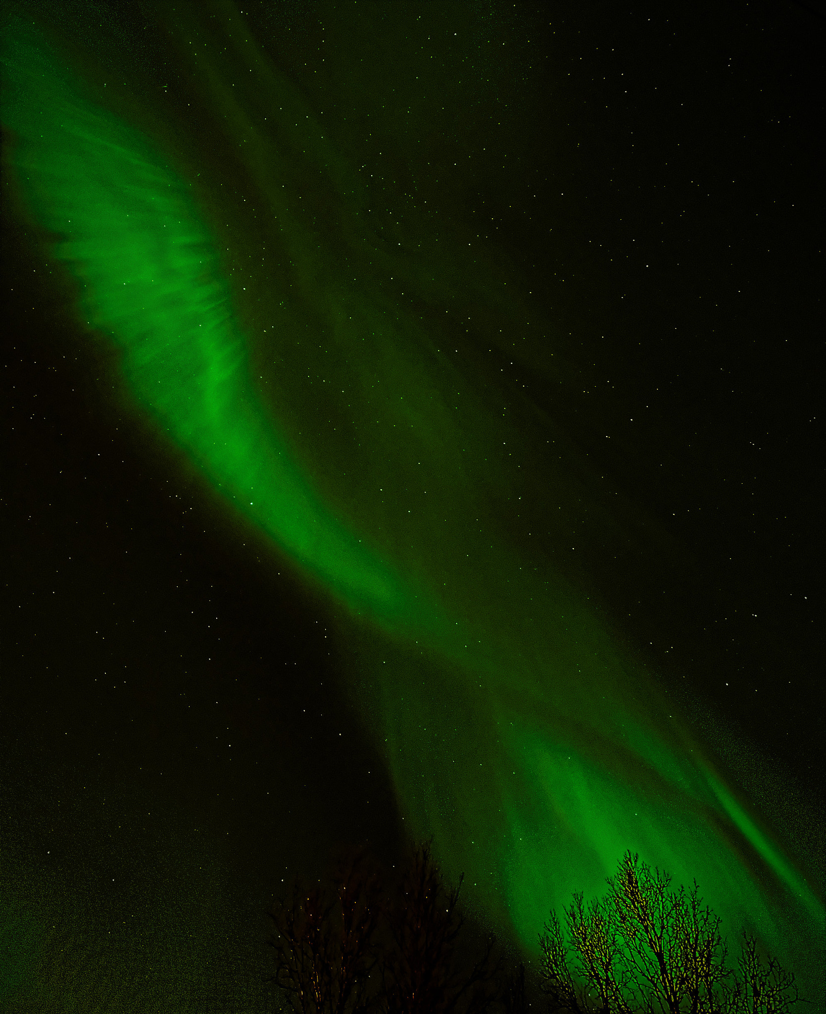 Nikon D600 sample photo. Aurora borealis photography
