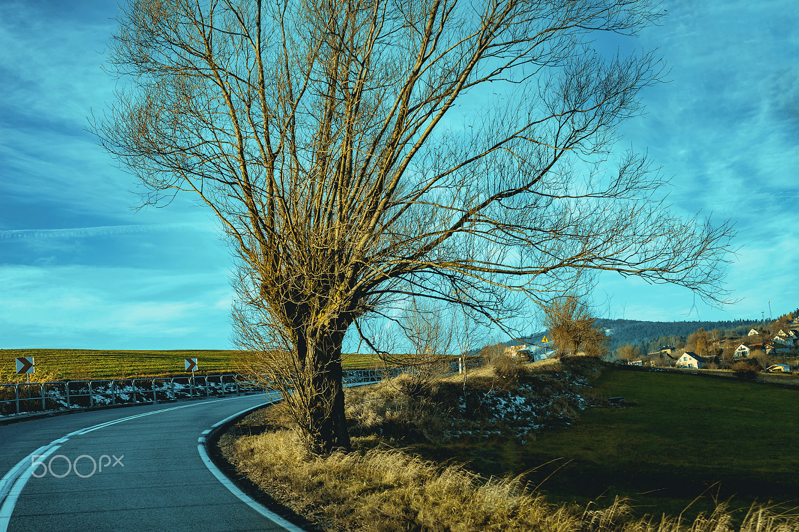 Nikon D700 + Sigma 50mm F1.4 EX DG HSM sample photo. []l photography