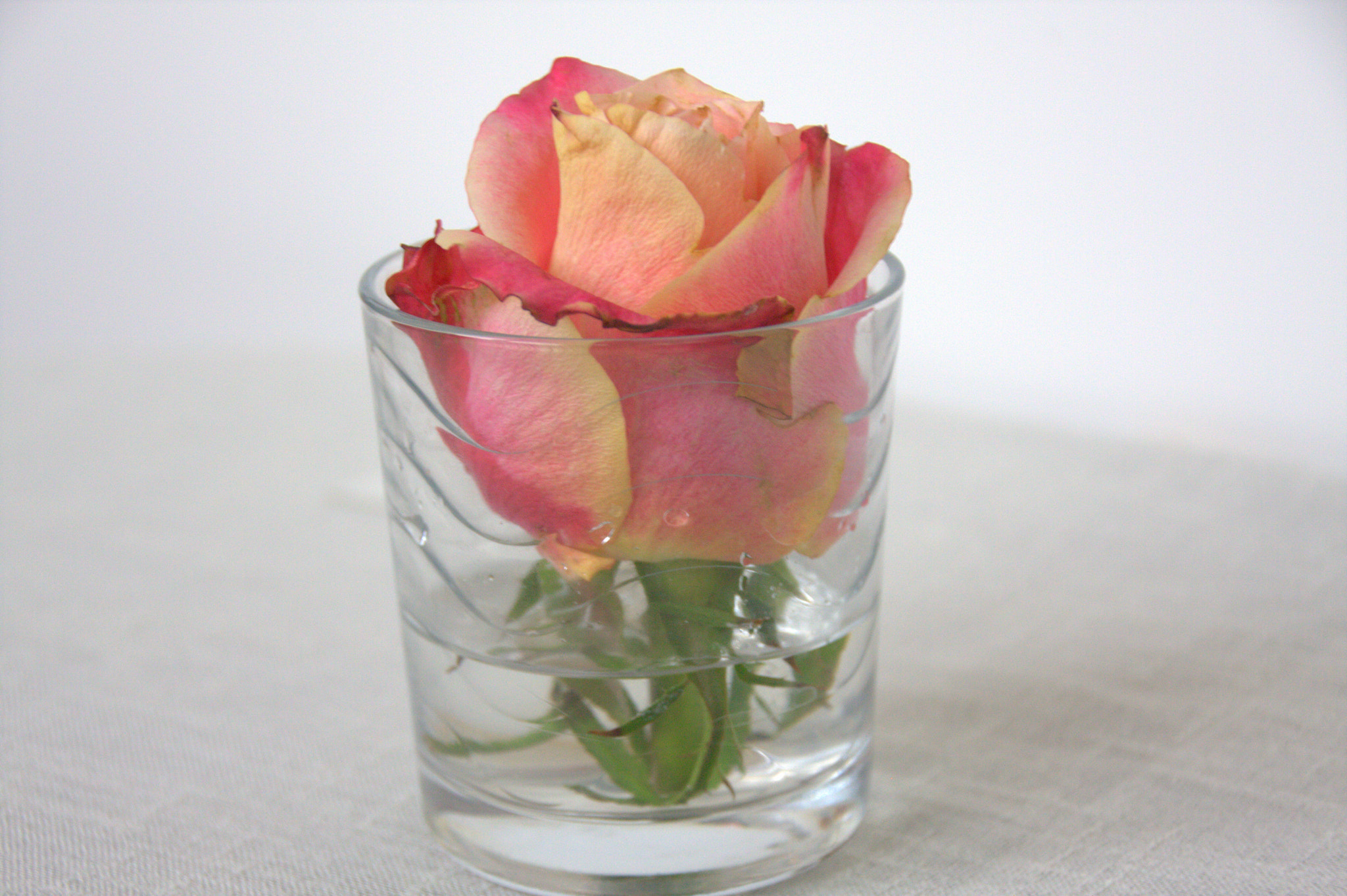 Canon EOS 40D sample photo. Img photography