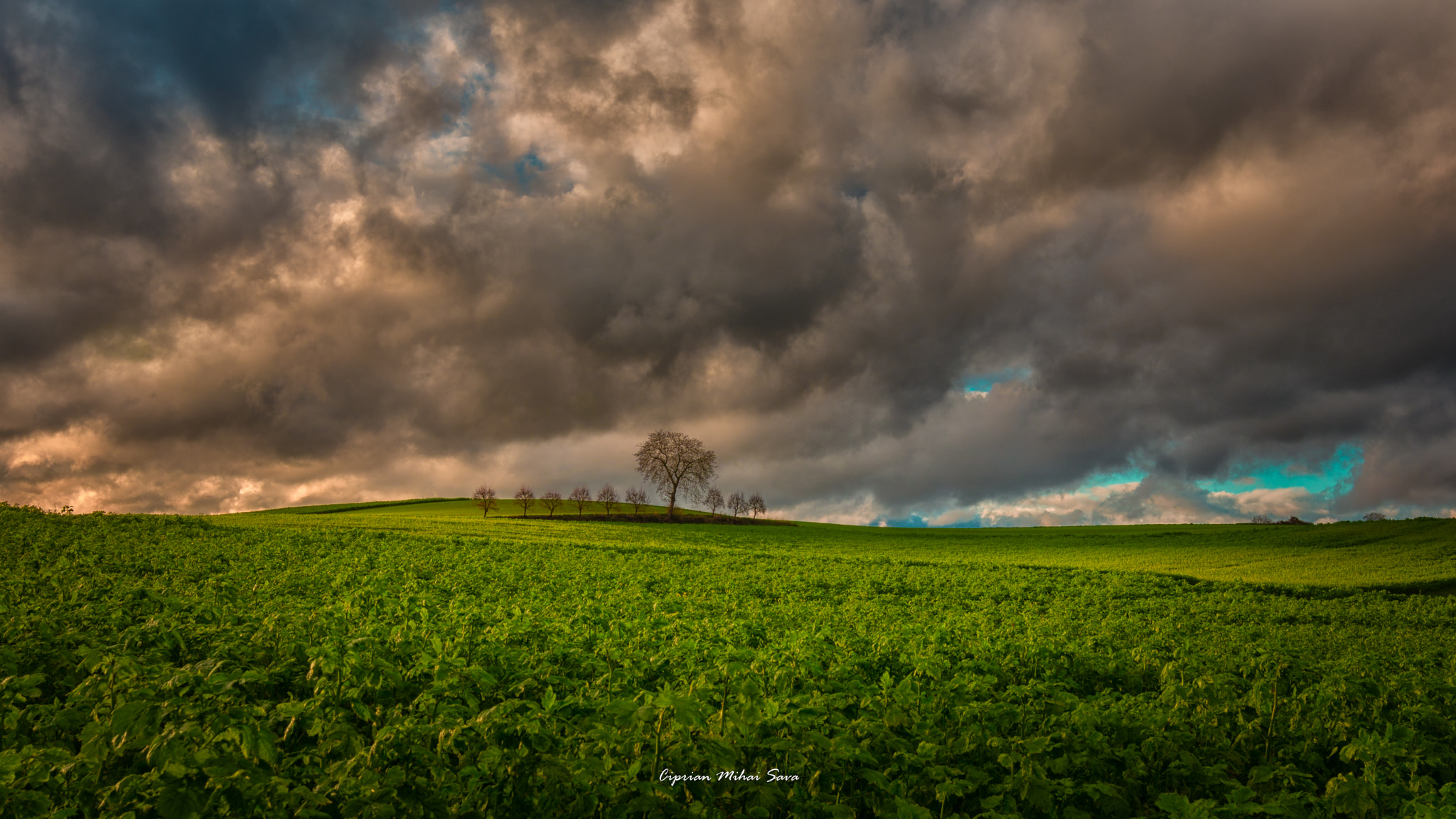 Tamron SP 15-30mm F2.8 Di VC USD sample photo. Nori plumburii photography