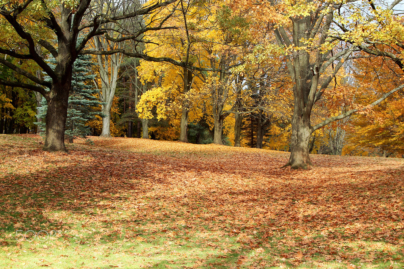 Canon EOS 600D (Rebel EOS T3i / EOS Kiss X5) sample photo. Lovely autumn morning photography