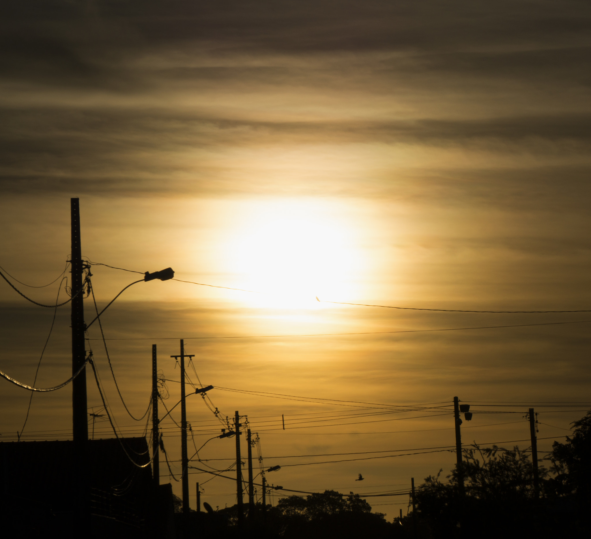 Sony Alpha a3500 sample photo. Urban sunset photography