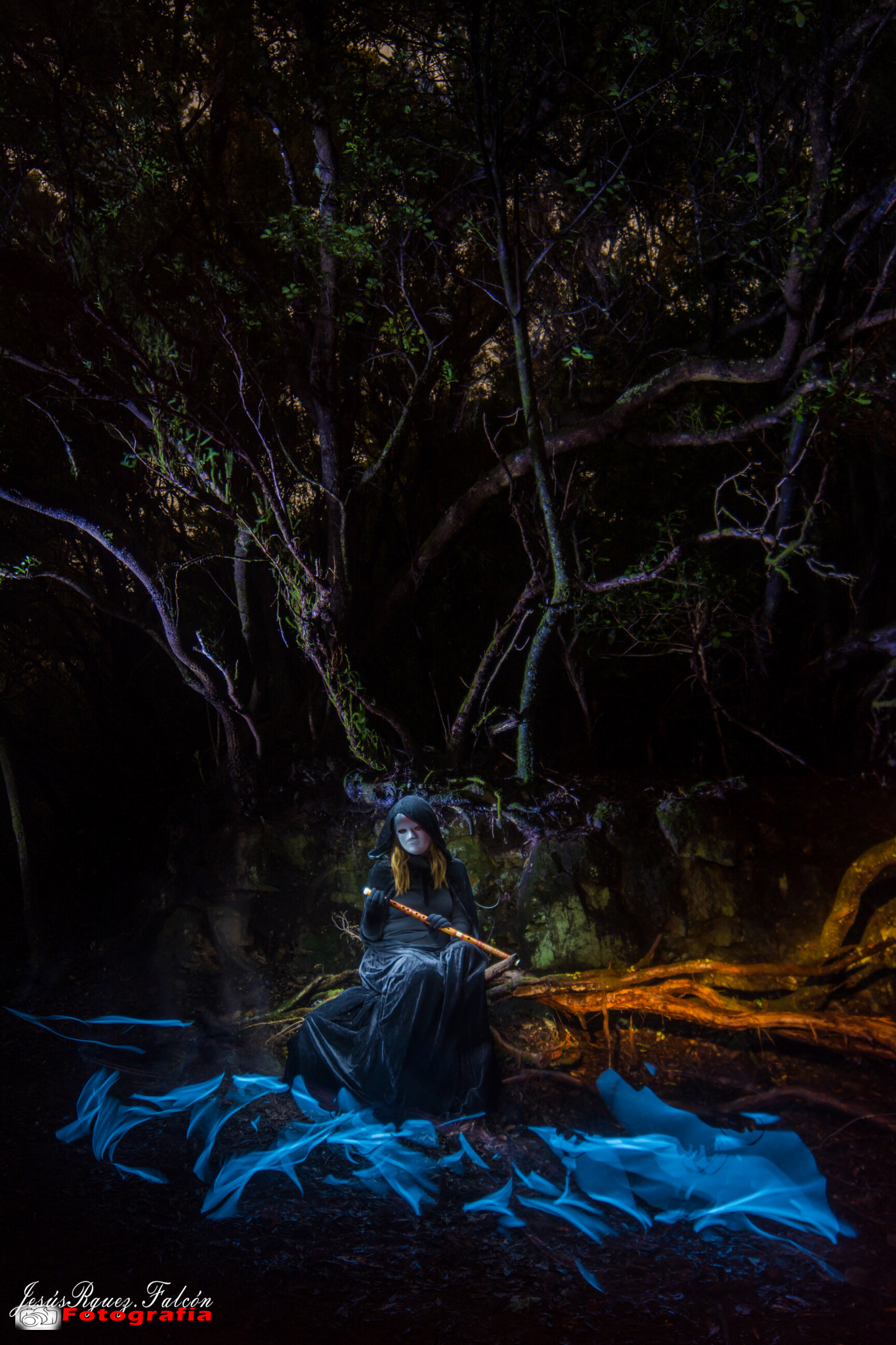Samyang 14mm F2.8 ED AS IF UMC sample photo. In the forest: natura photography