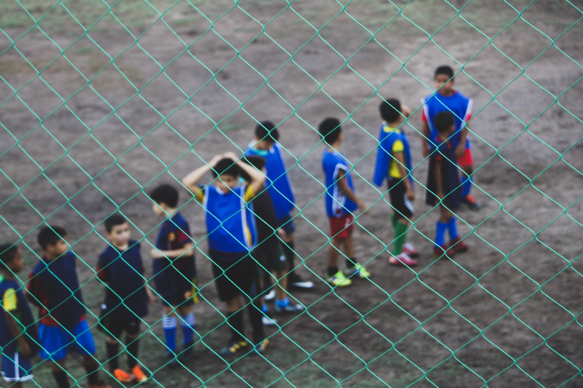 Canon EOS 760D (EOS Rebel T6s / EOS 8000D) sample photo