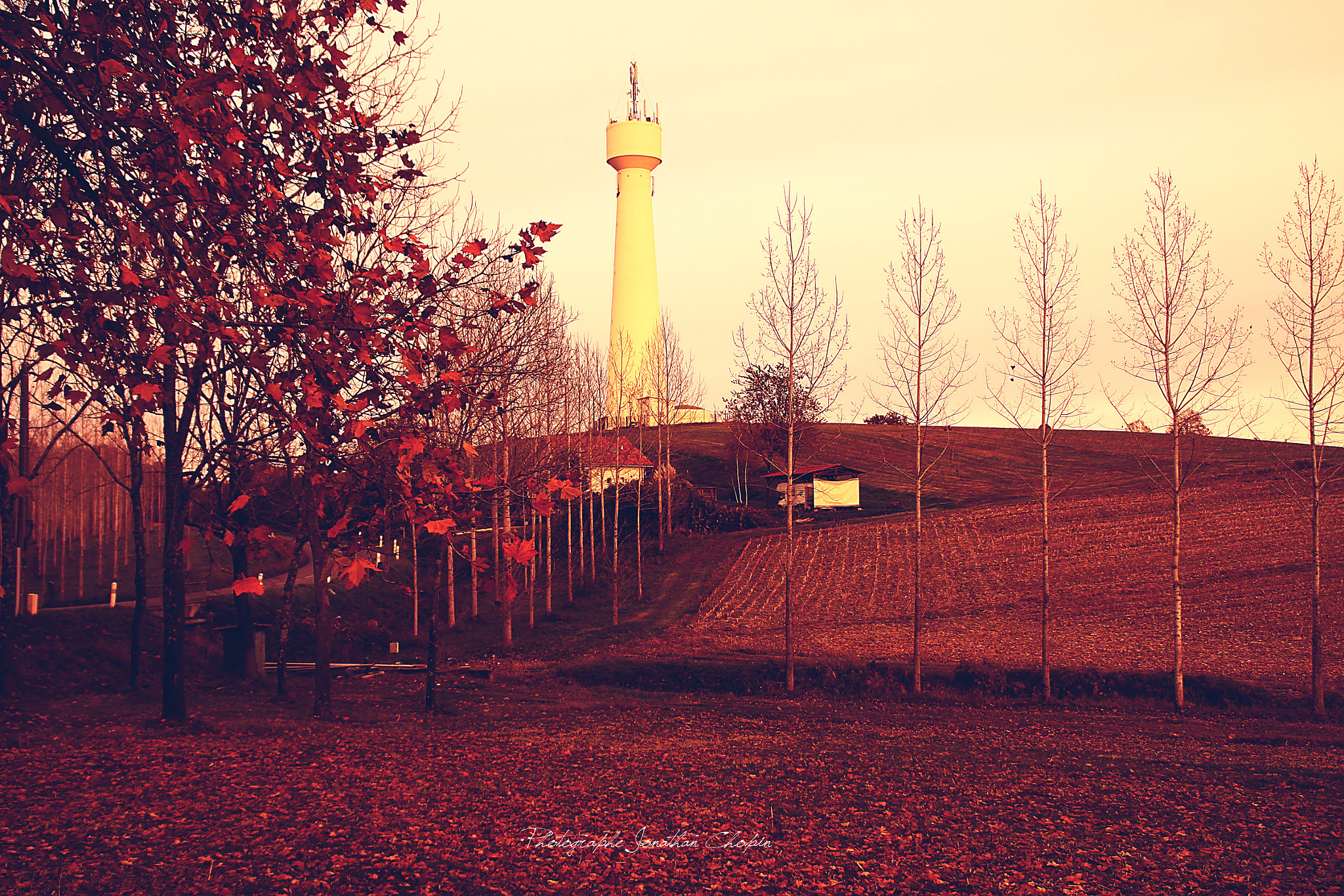 Canon EOS 50D sample photo. Saint sever (40) france photography