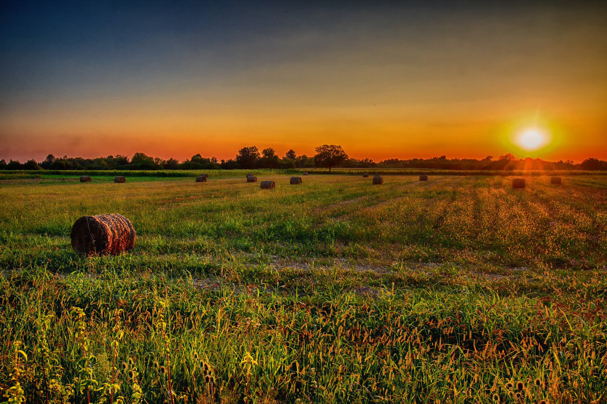 Canon EF 16-35mm F4L IS USM sample photo. In the evening photography