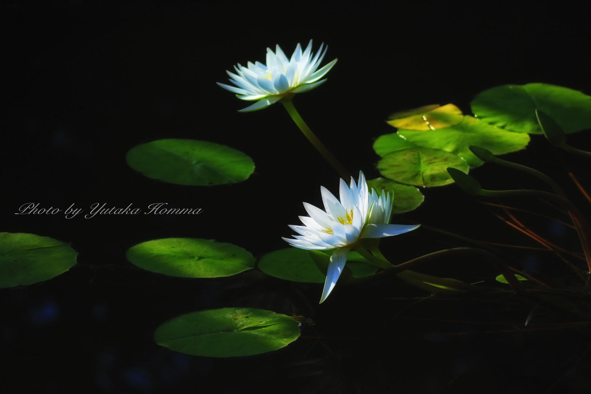 Canon EOS M3 sample photo. Light photography