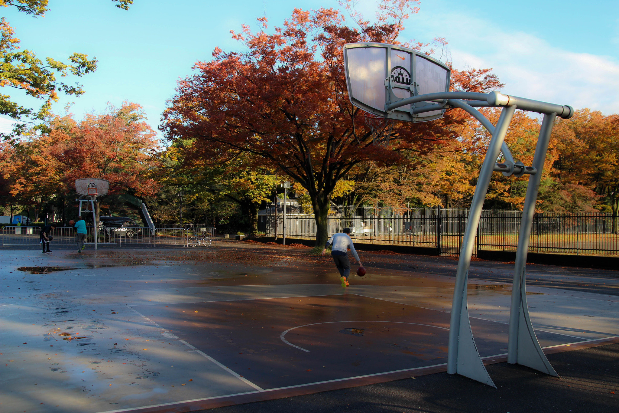 Sigma 17-70mm F2.8-4 DC Macro OS HSM sample photo. Fall photography