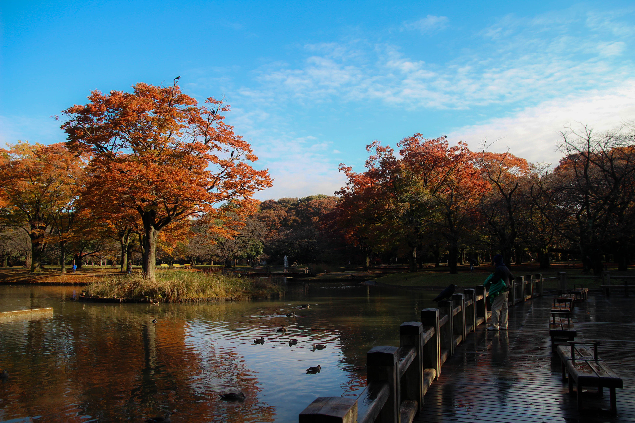 Canon EOS 600D (Rebel EOS T3i / EOS Kiss X5) + Sigma 17-70mm F2.8-4 DC Macro OS HSM sample photo. Fall photography