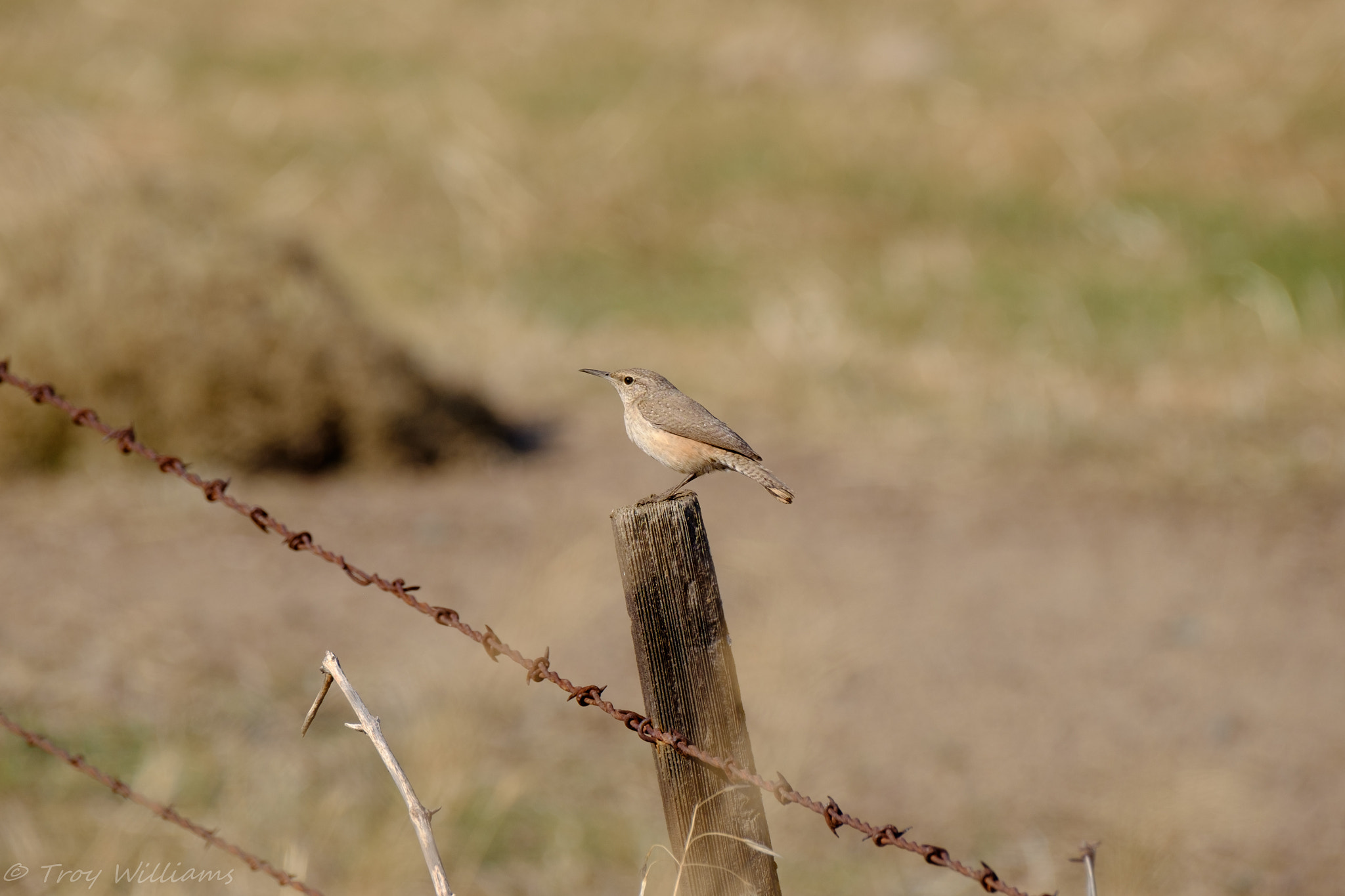 Fujifilm XF 100-400mm F4.5-5.6 R LM OIS WR sample photo. Yokohl valley photography