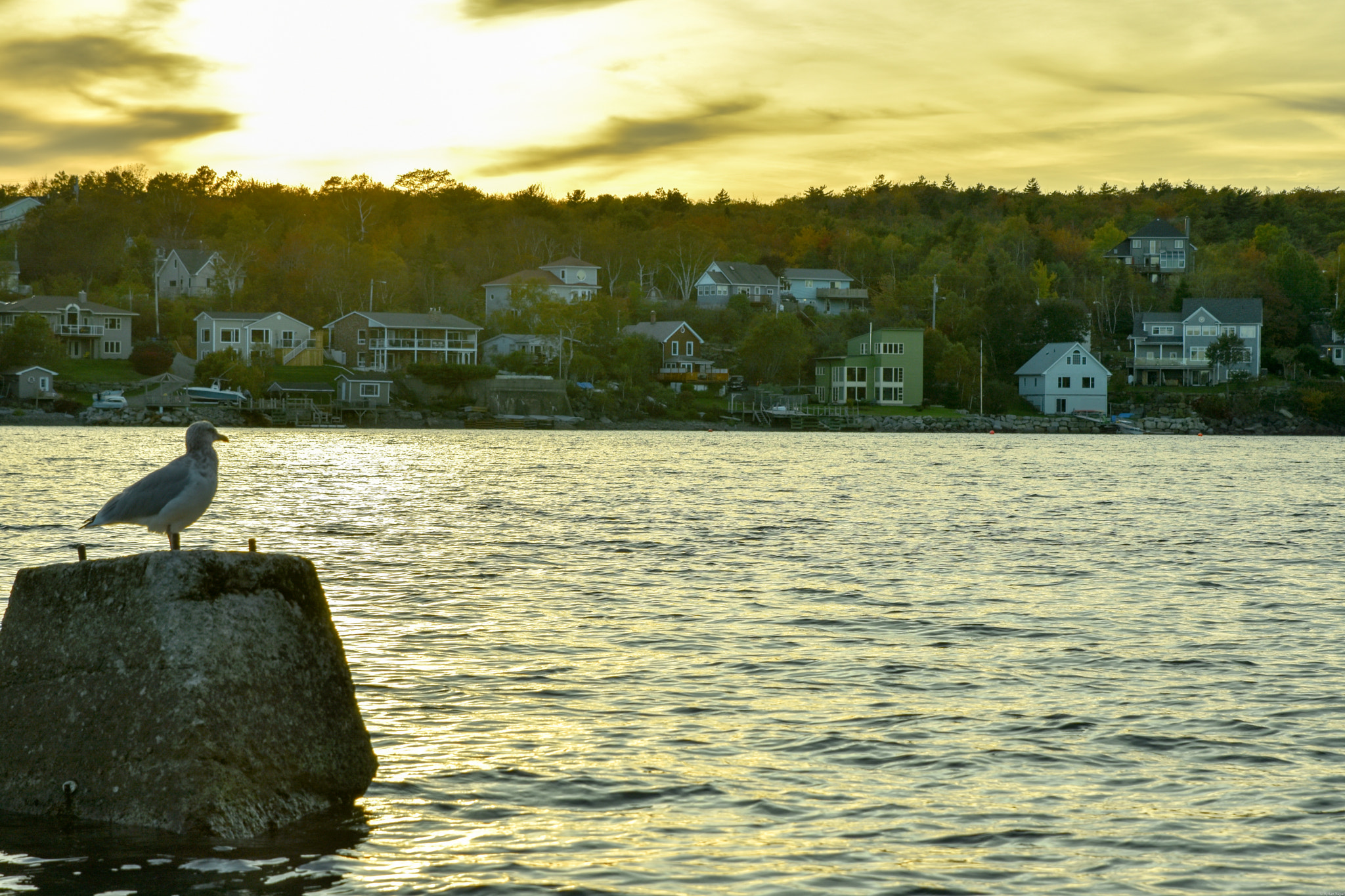 Nikon D7200 sample photo. The sunset at point pleasant photography