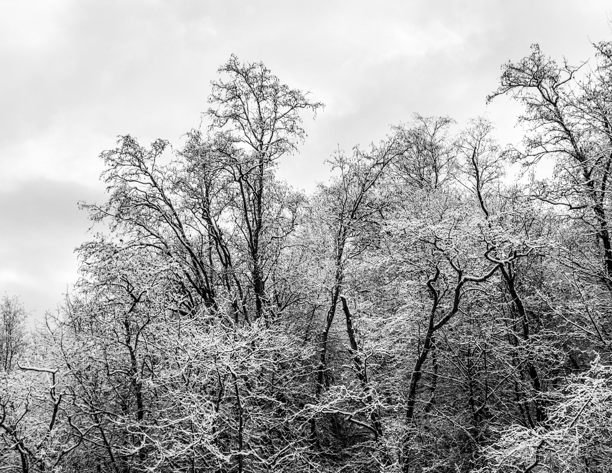 Sigma 18-250mm F3.5-6.3 DC Macro OS HSM sample photo. Winter is coming photography