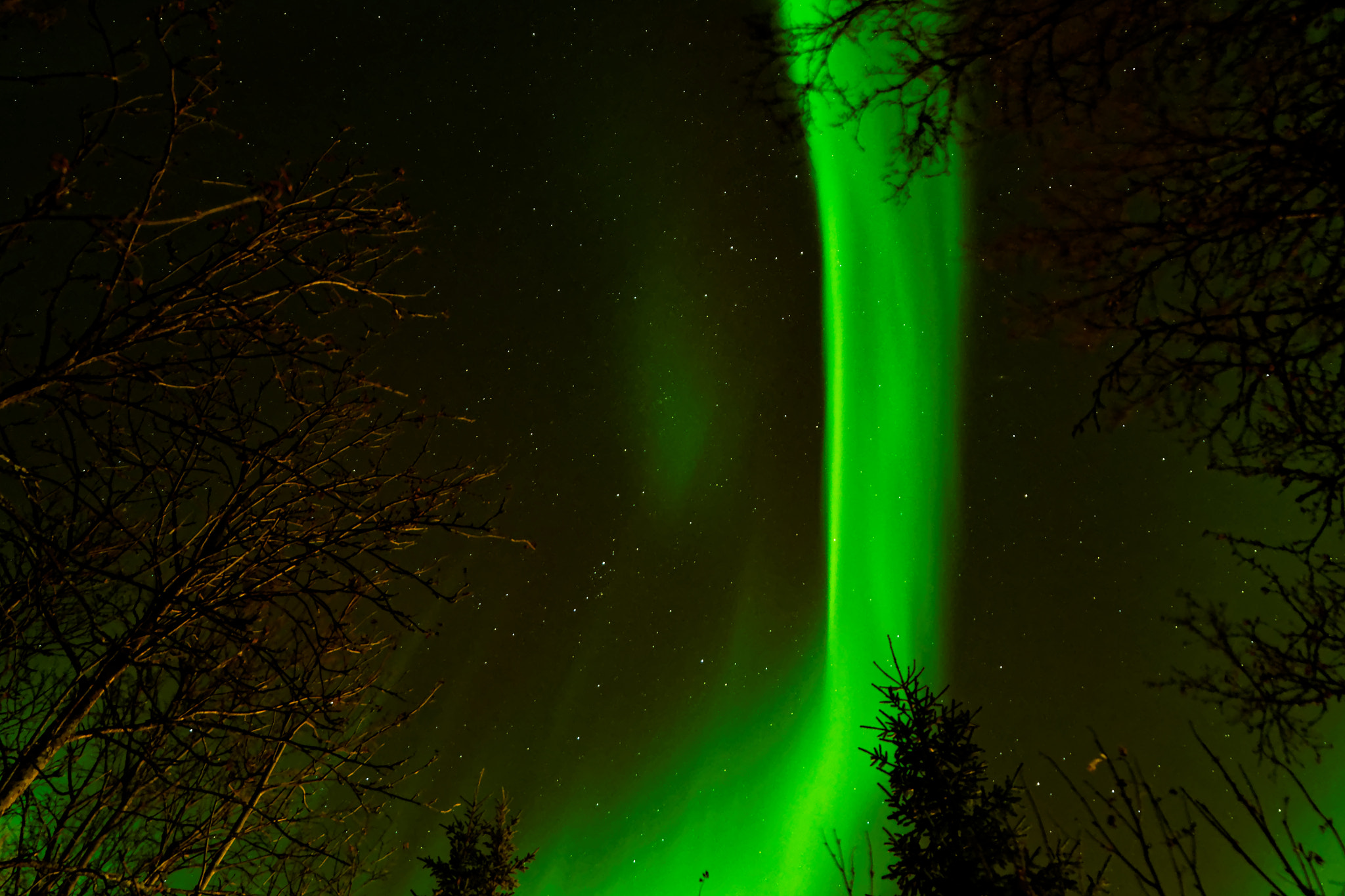 Samyang 14mm F2.8 ED AS IF UMC sample photo. Aurora borealis - "the shaft" photography