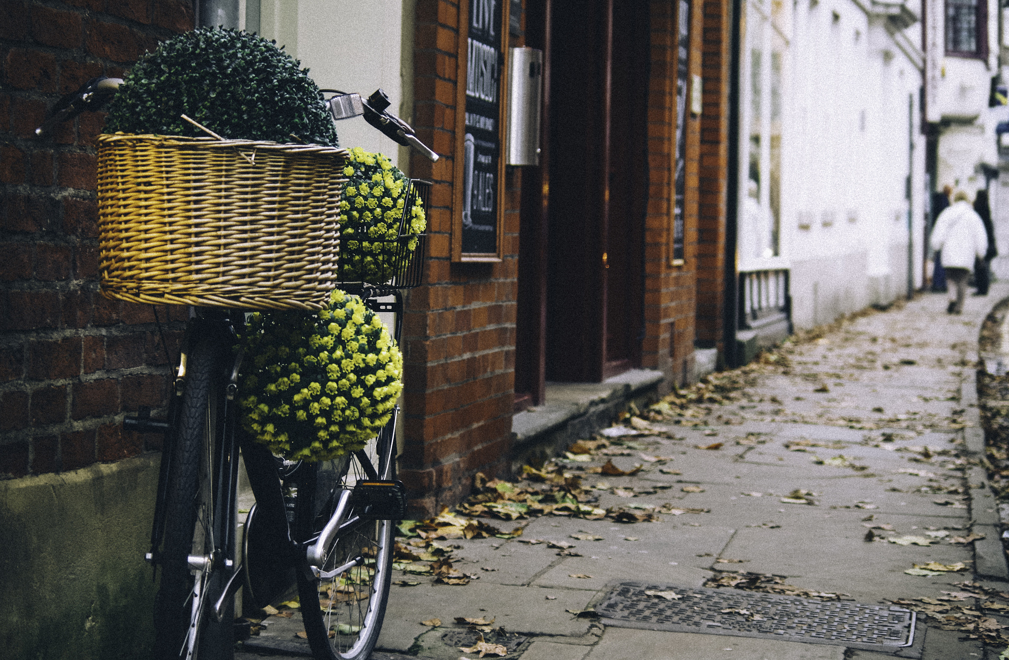 Pentax K-30 sample photo. Flower bike photography