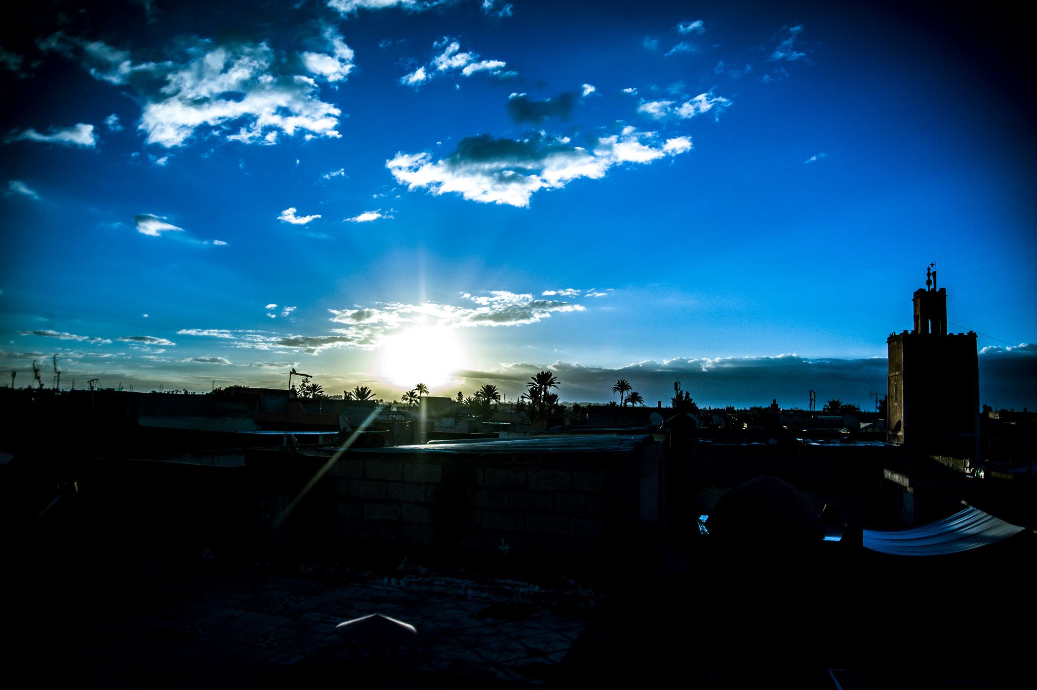 Nikon D3 sample photo. Sunrise over the trees photography