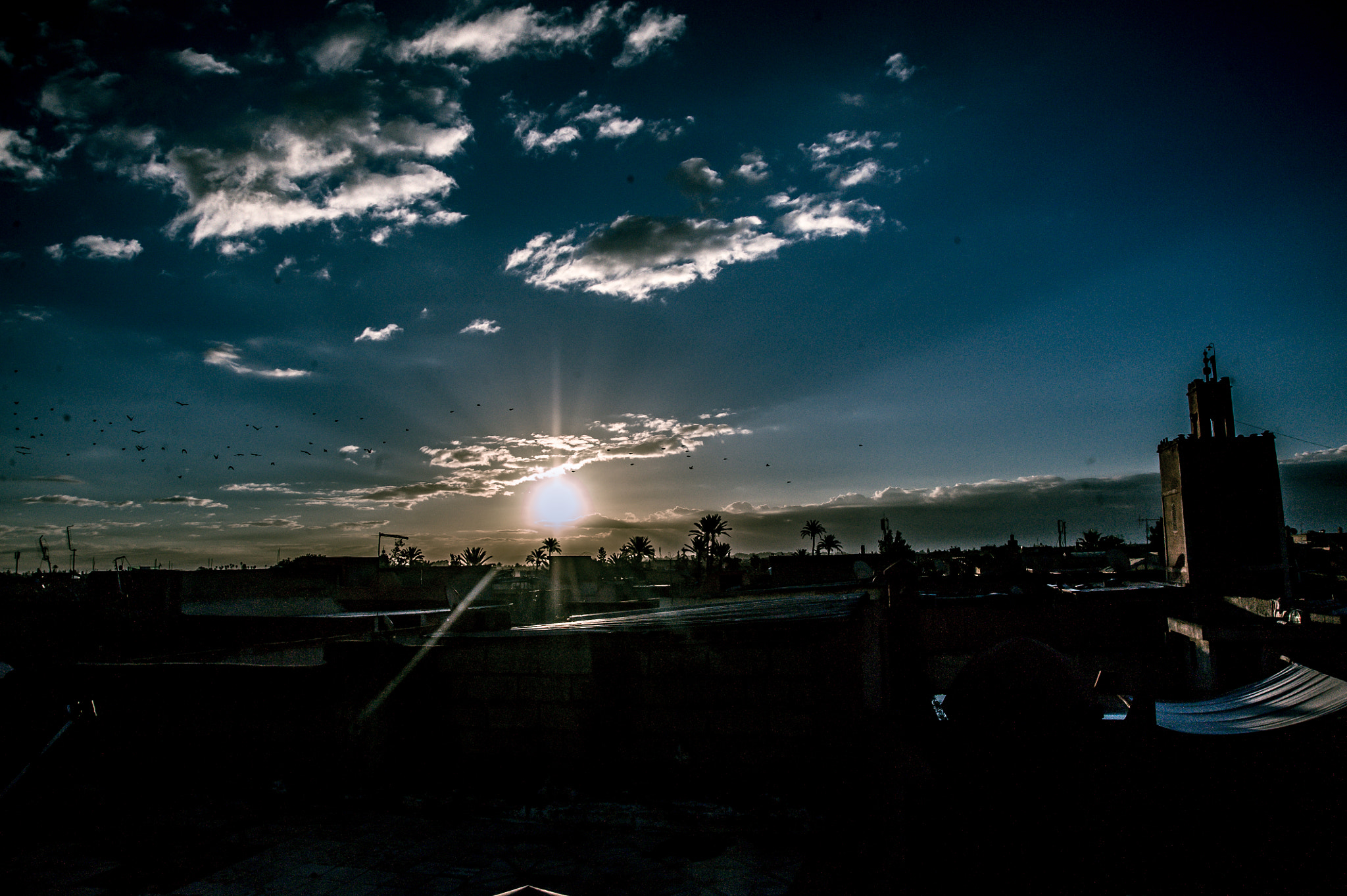 Nikon D3 sample photo. Morning sun photography