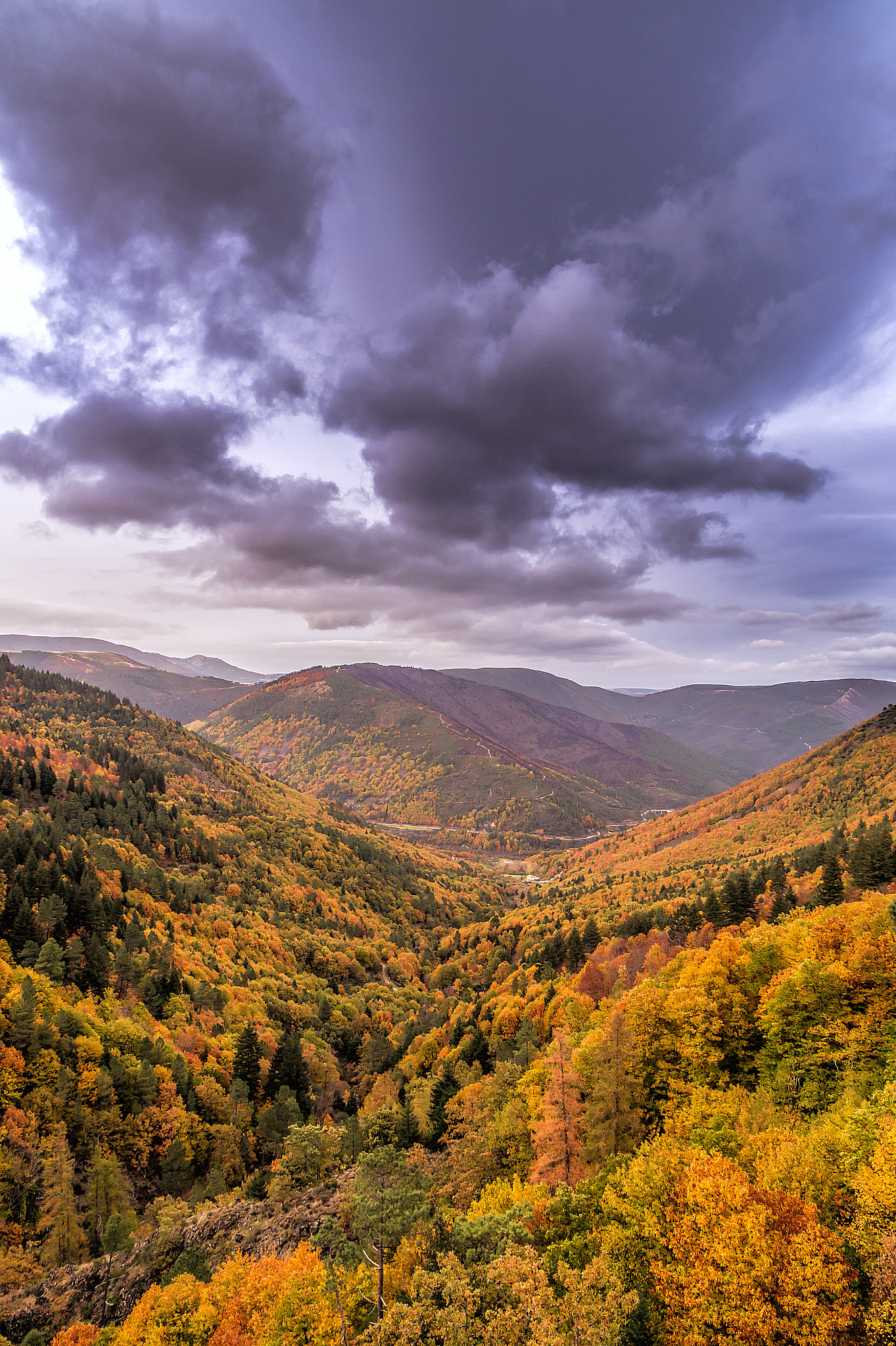 Sony DT 16-105mm F3.5-5.6 sample photo. Autumn's colours photography