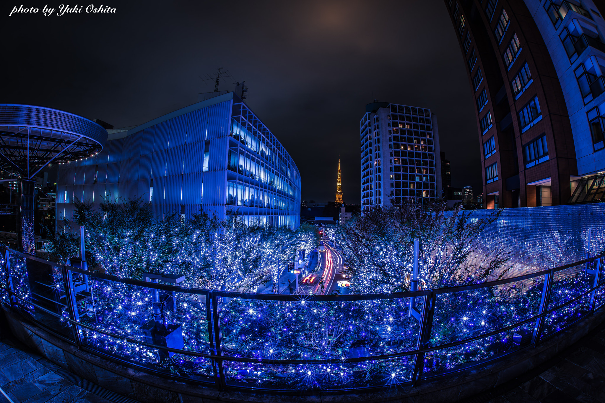 Nikon D810 + Sigma 15mm F2.8 EX DG Diagonal Fisheye sample photo. The christmas illumination in roppongi hills photography