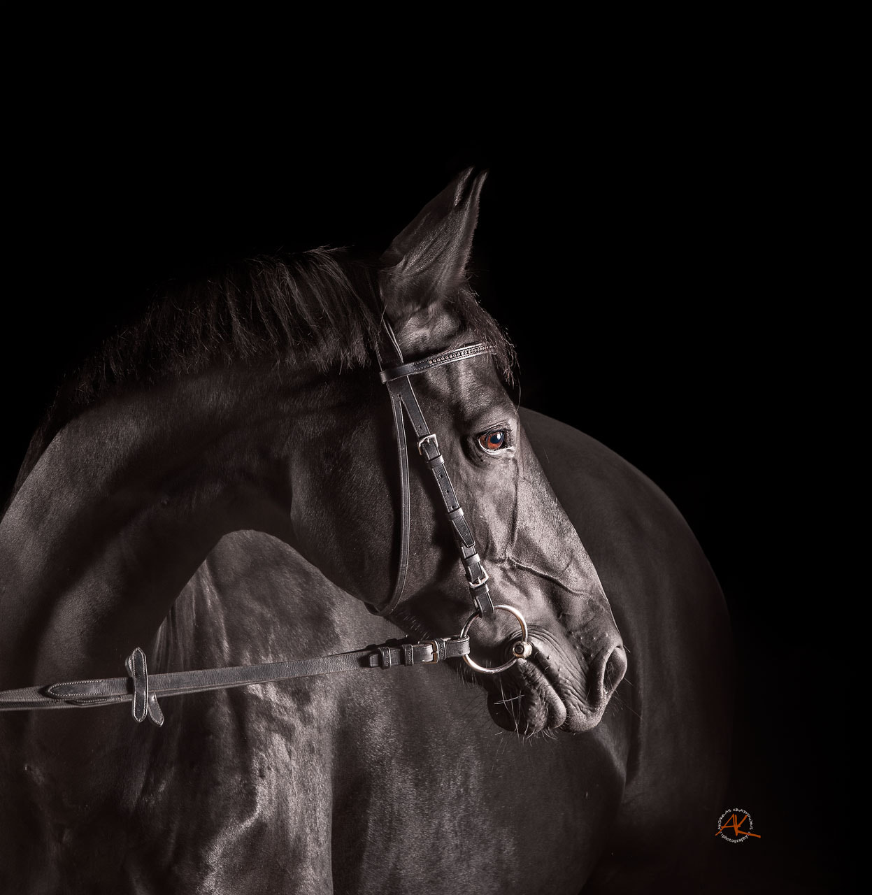 AF-S Zoom-Nikkor 80-200mm f/2.8D IF-ED sample photo. Horse nightshot photography