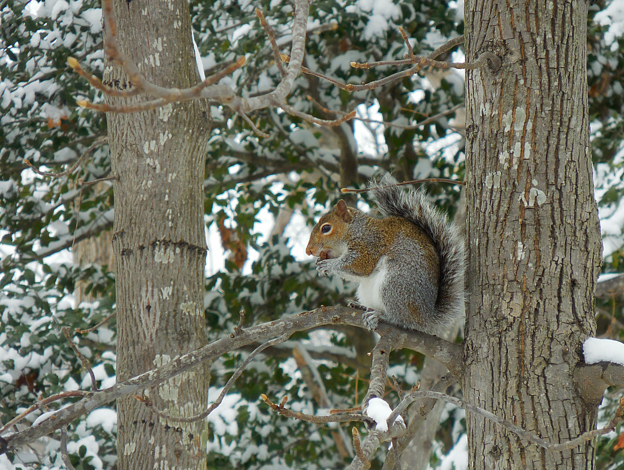 Nikon Coolpix S6800 sample photo. Lunchtime photography