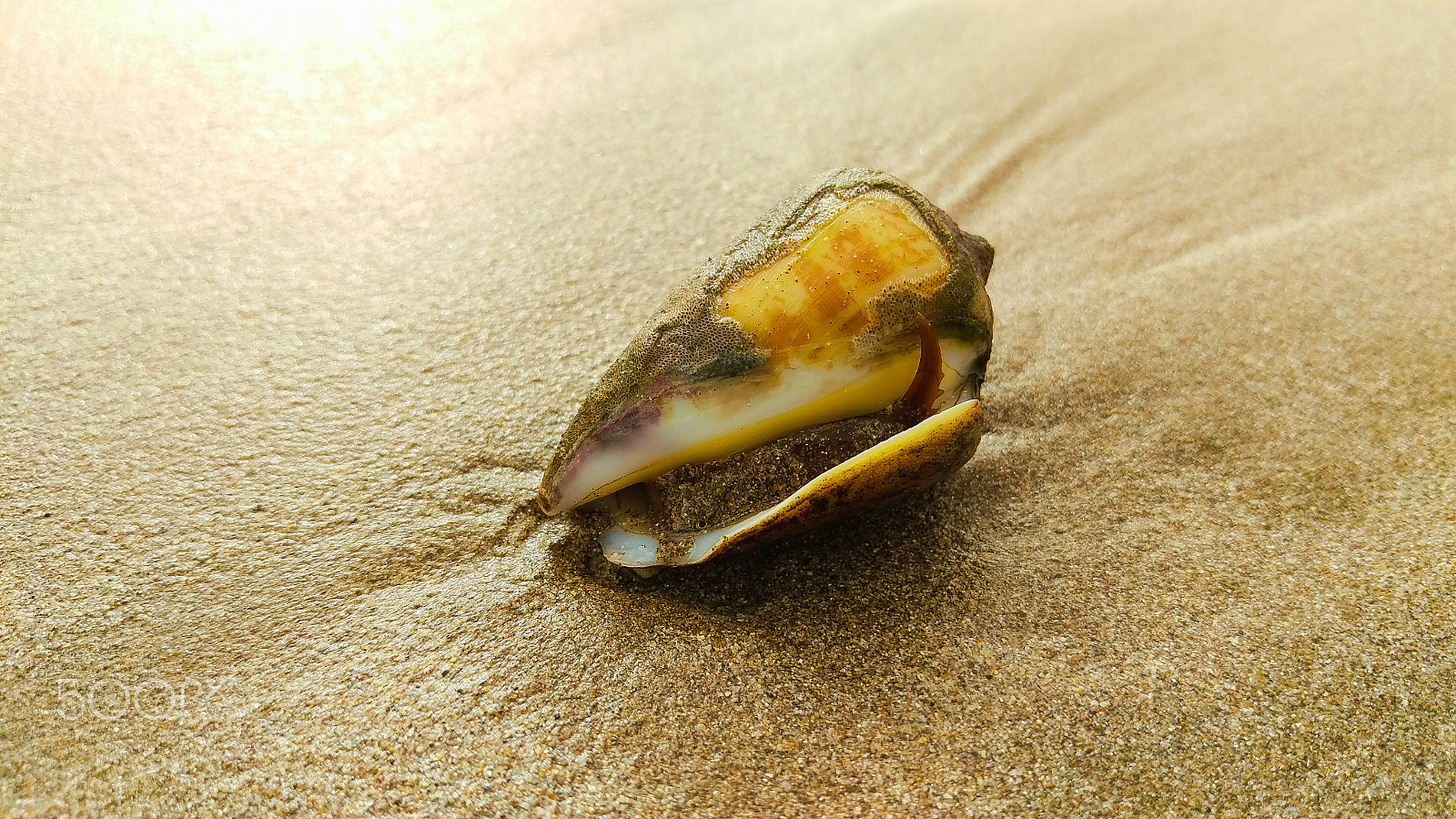 HTC M9 sample photo. Al-qurum beach, oman photography