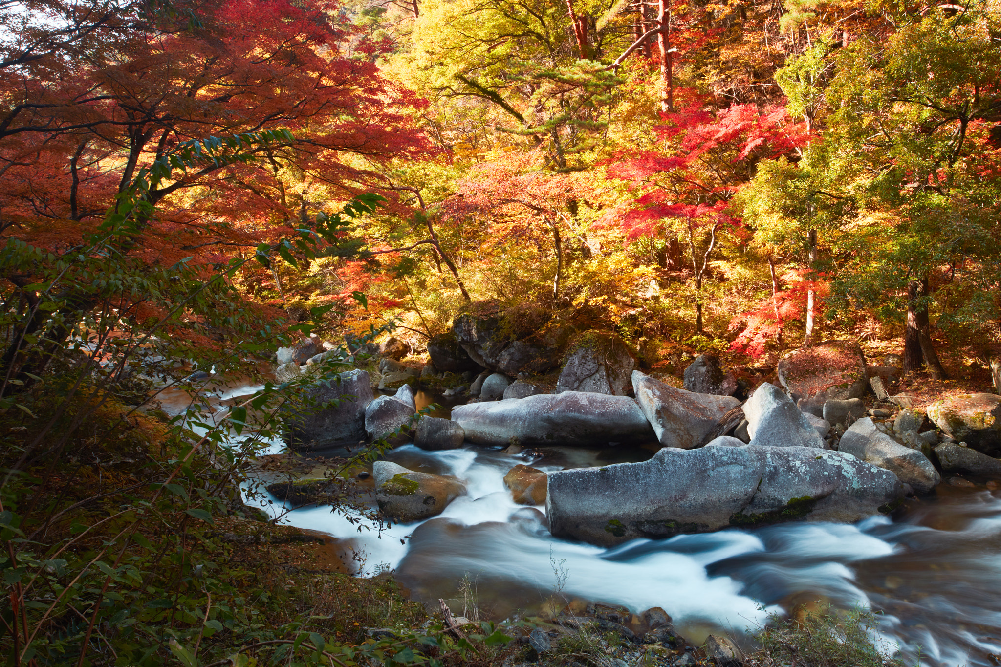 Canon EOS 5DS R sample photo. Autumn in shosenkyo, japan photography