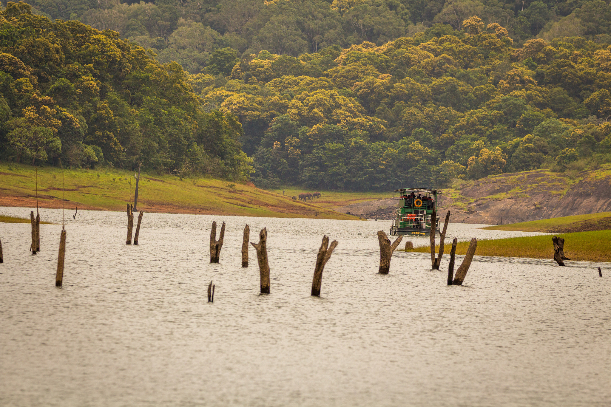 Canon EOS 700D (EOS Rebel T5i / EOS Kiss X7i) sample photo. Boat safari photography