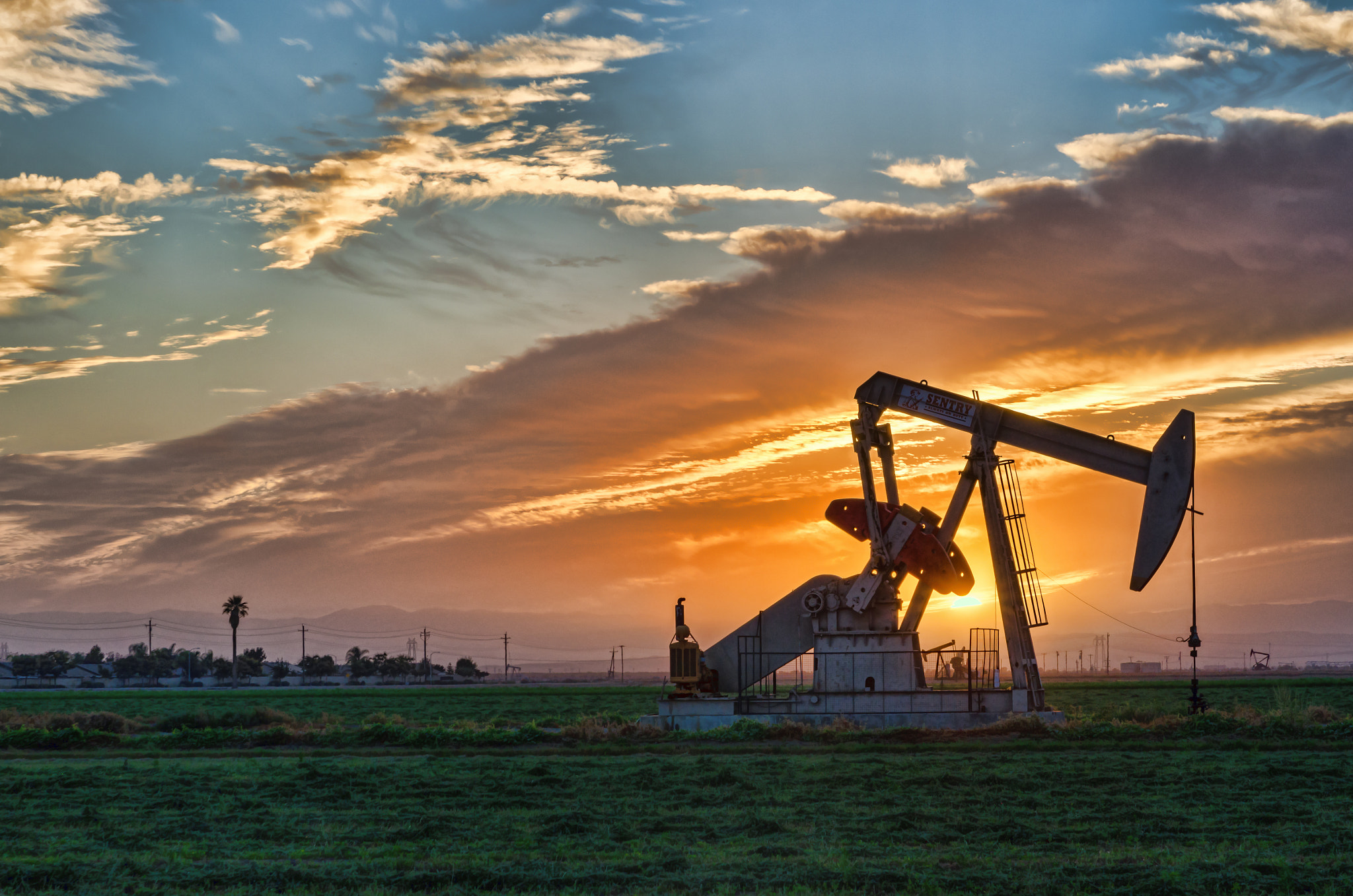 Sigma 24-70mm F2.8 EX DG HSM sample photo. Bakersfield photography