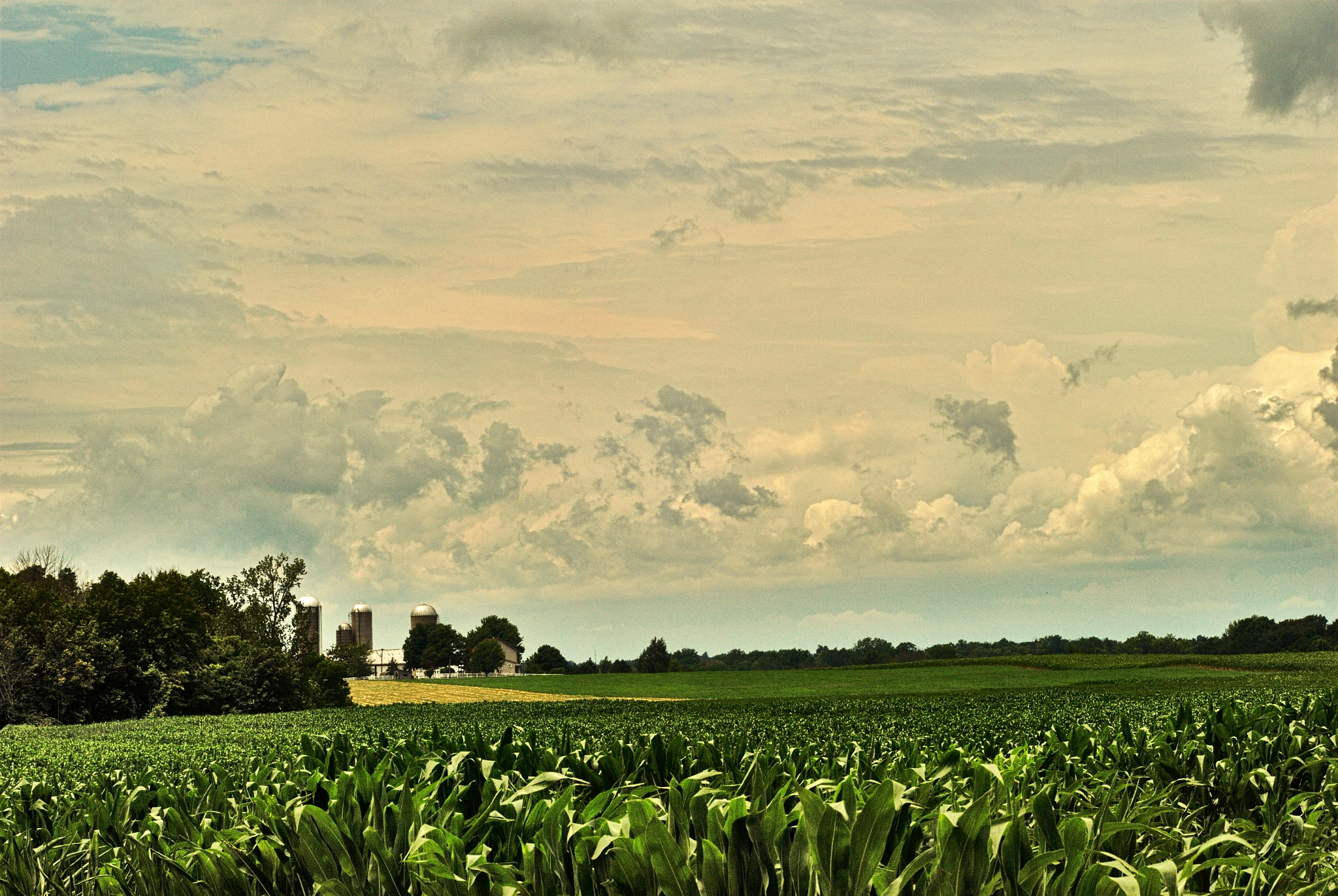 Nikon D200 sample photo. Fields, farms, farmland and sky photography