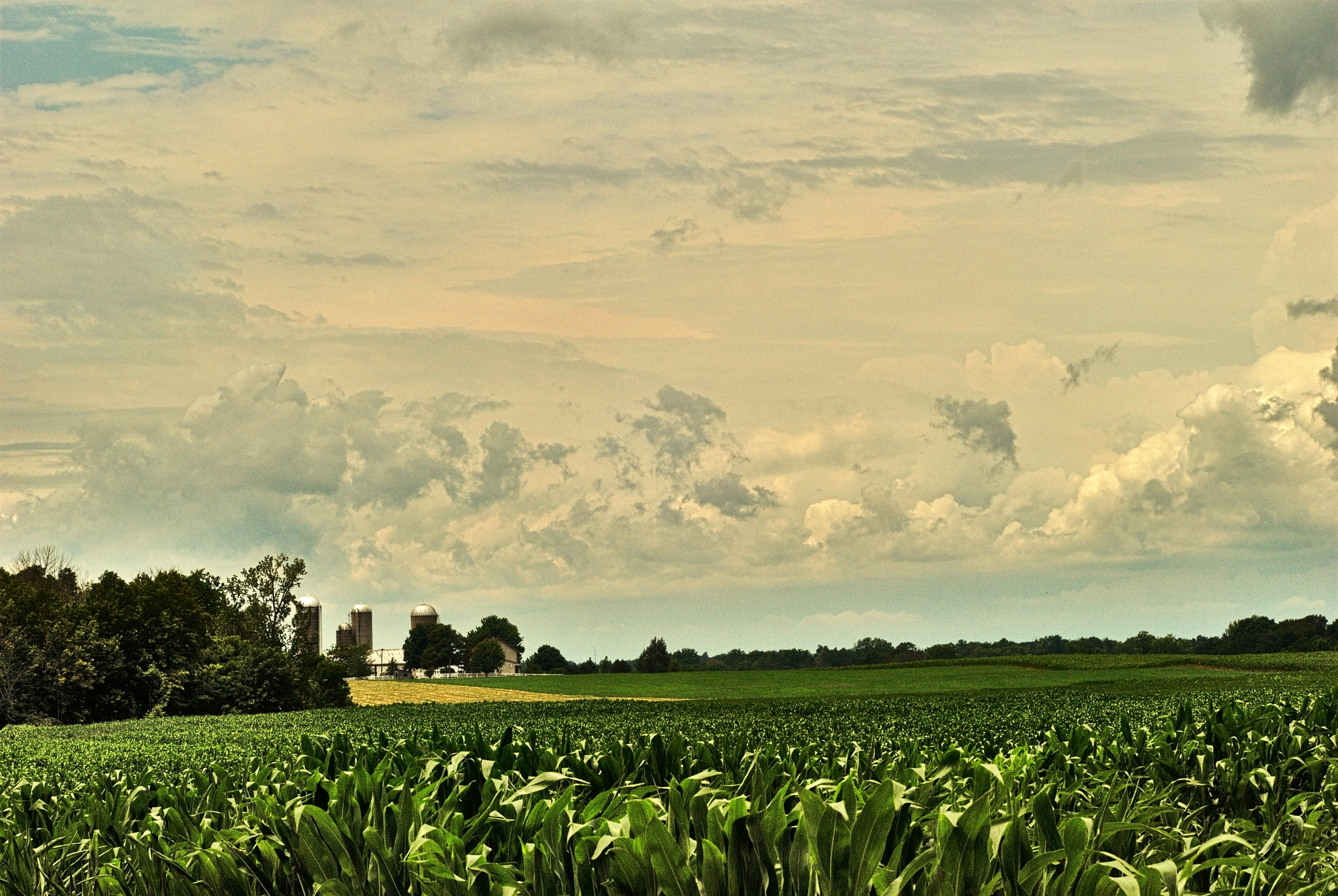 Nikon D200 + Manual Lens No CPU sample photo. Fields, farms, farmland and sky photography