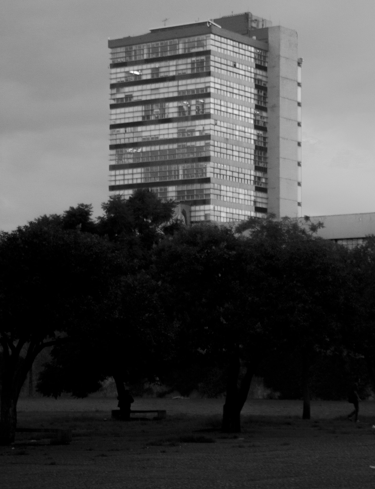 Tamron AF 28-200mm F3.8-5.6 XR Di Aspherical (IF) Macro sample photo. Humanidades unam photography