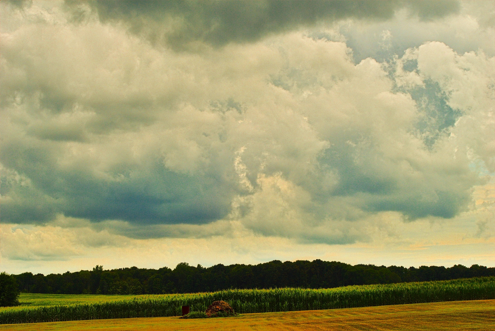 Nikon D200 sample photo. Fields, farms, farmland and sky photography