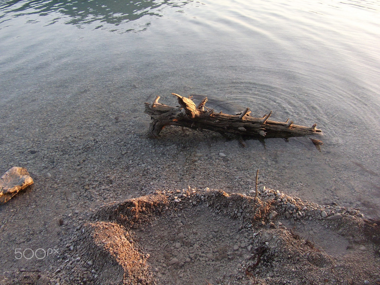 Fujifilm FinePix JX200 sample photo. Wood in lake - walchensee photography