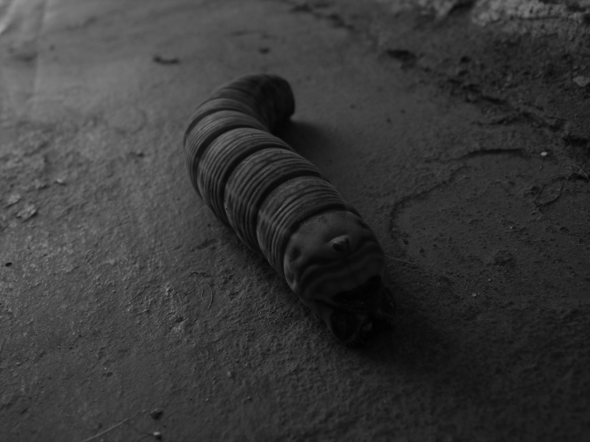 Sony DSC-W100 sample photo. Escapa photography
