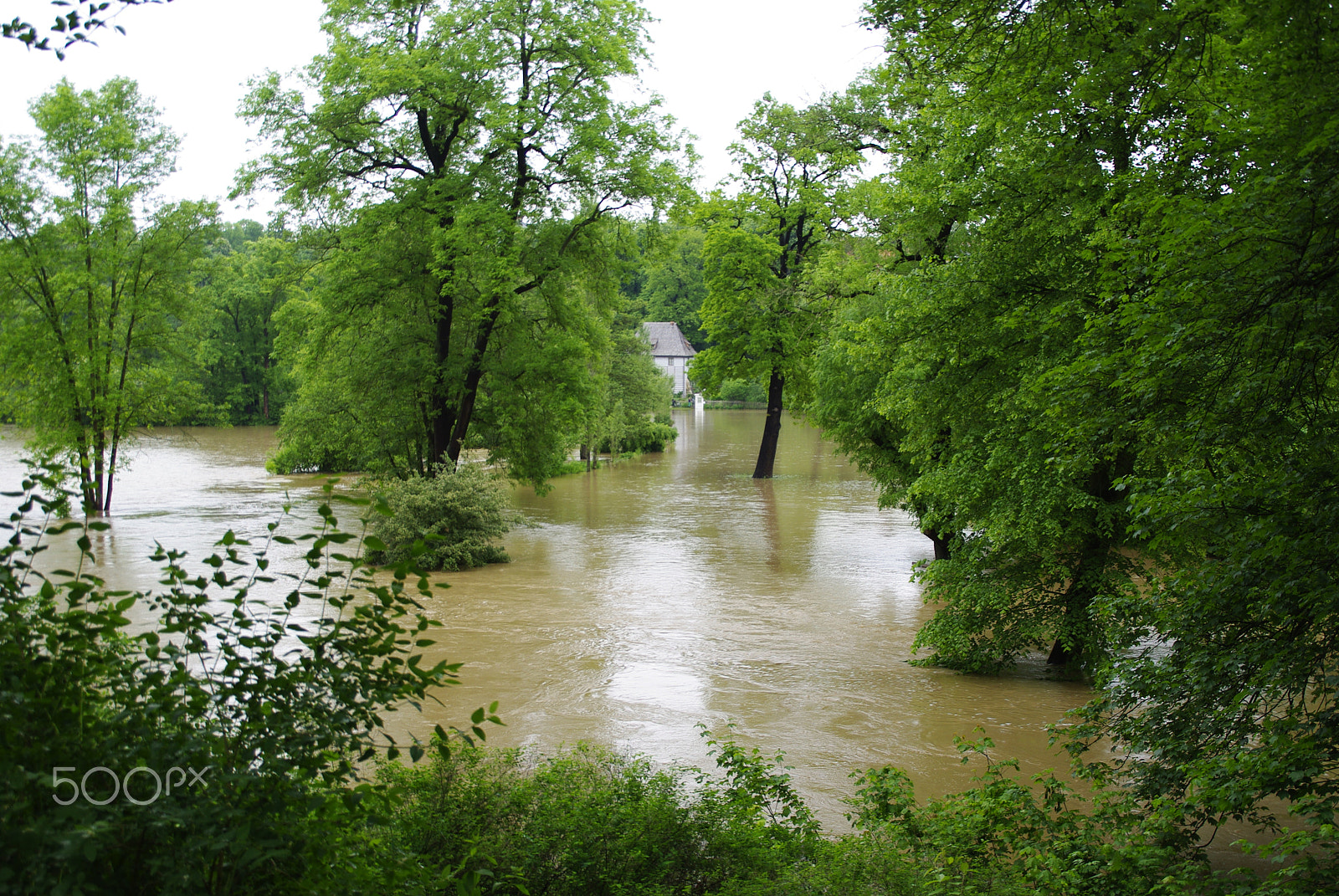 Pentax K200D sample photo. Ilmpark weimar flood 2013 photography