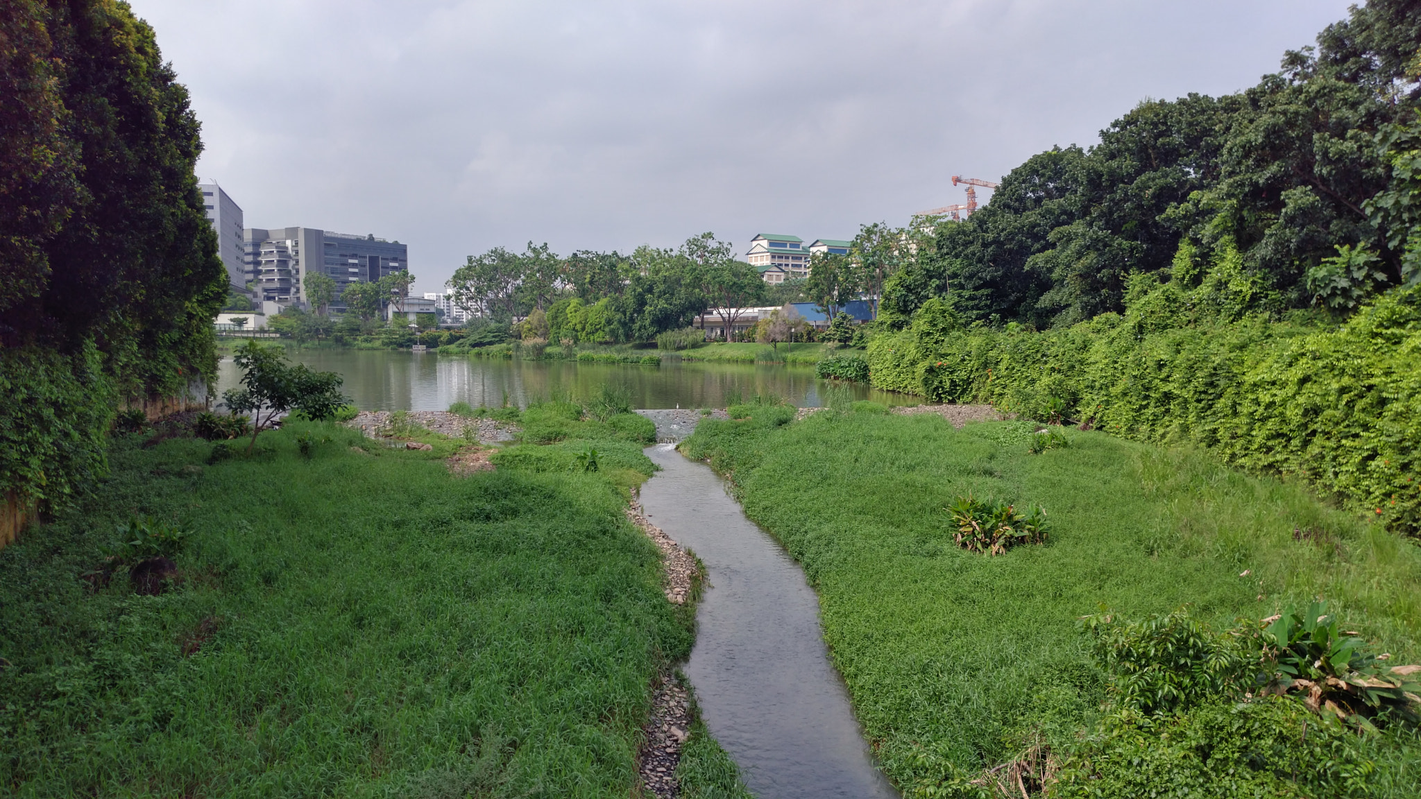 ZTE A2017G sample photo. Crane at the middle  photography