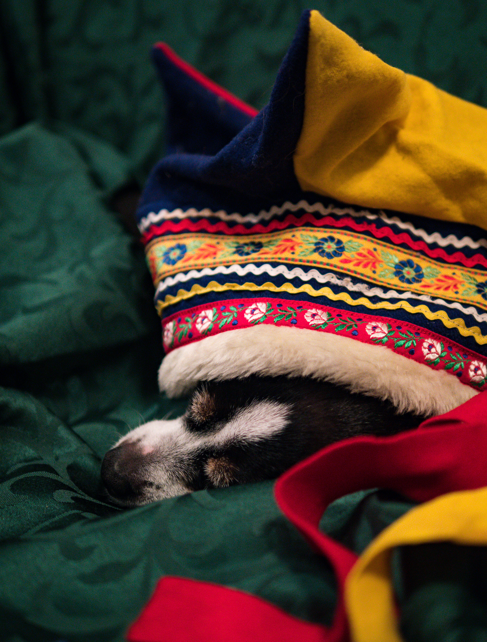 Panasonic Lumix DMC-GX8 + Panasonic Leica DG Summilux 25mm F1.4 II ASPH sample photo. Dreams of festive tomorrows photography