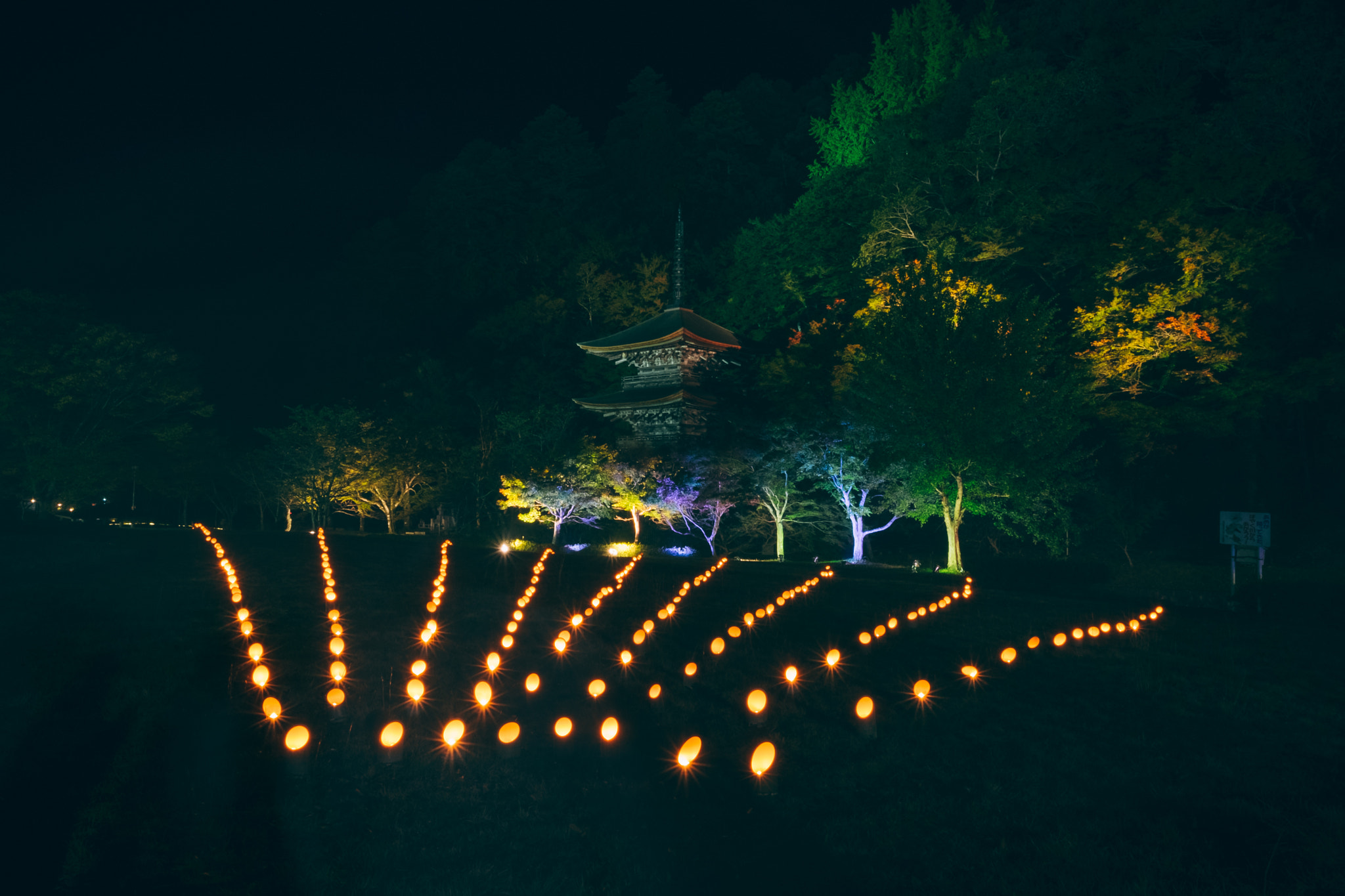 Fujifilm X-T10 + Fujifilm XF 14mm F2.8 R sample photo. Kyoto night photography