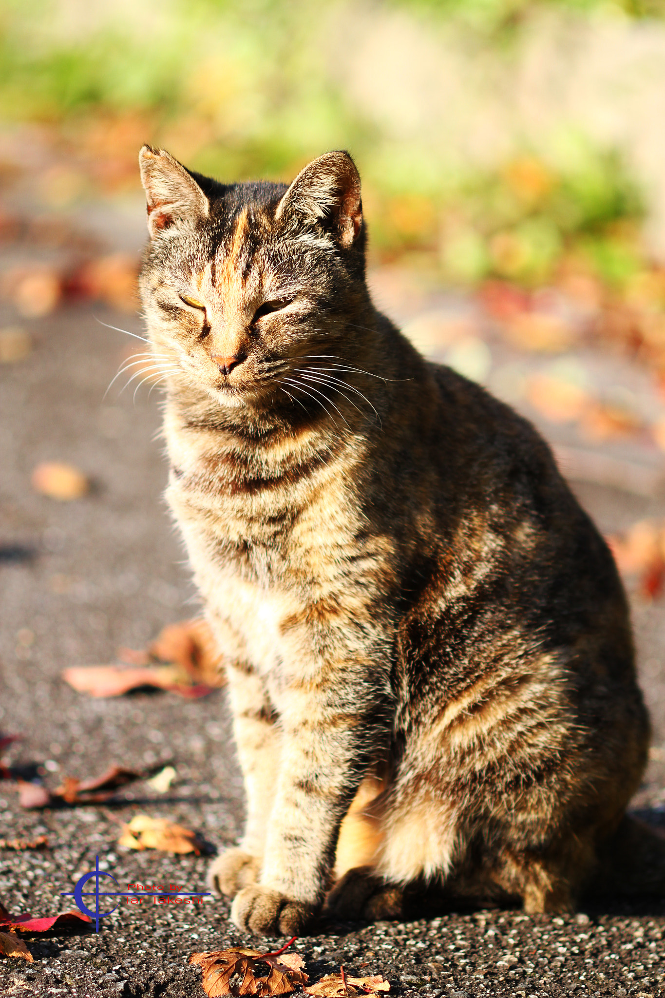 Canon EF 100mm F2.8 Macro USM sample photo. Img photography