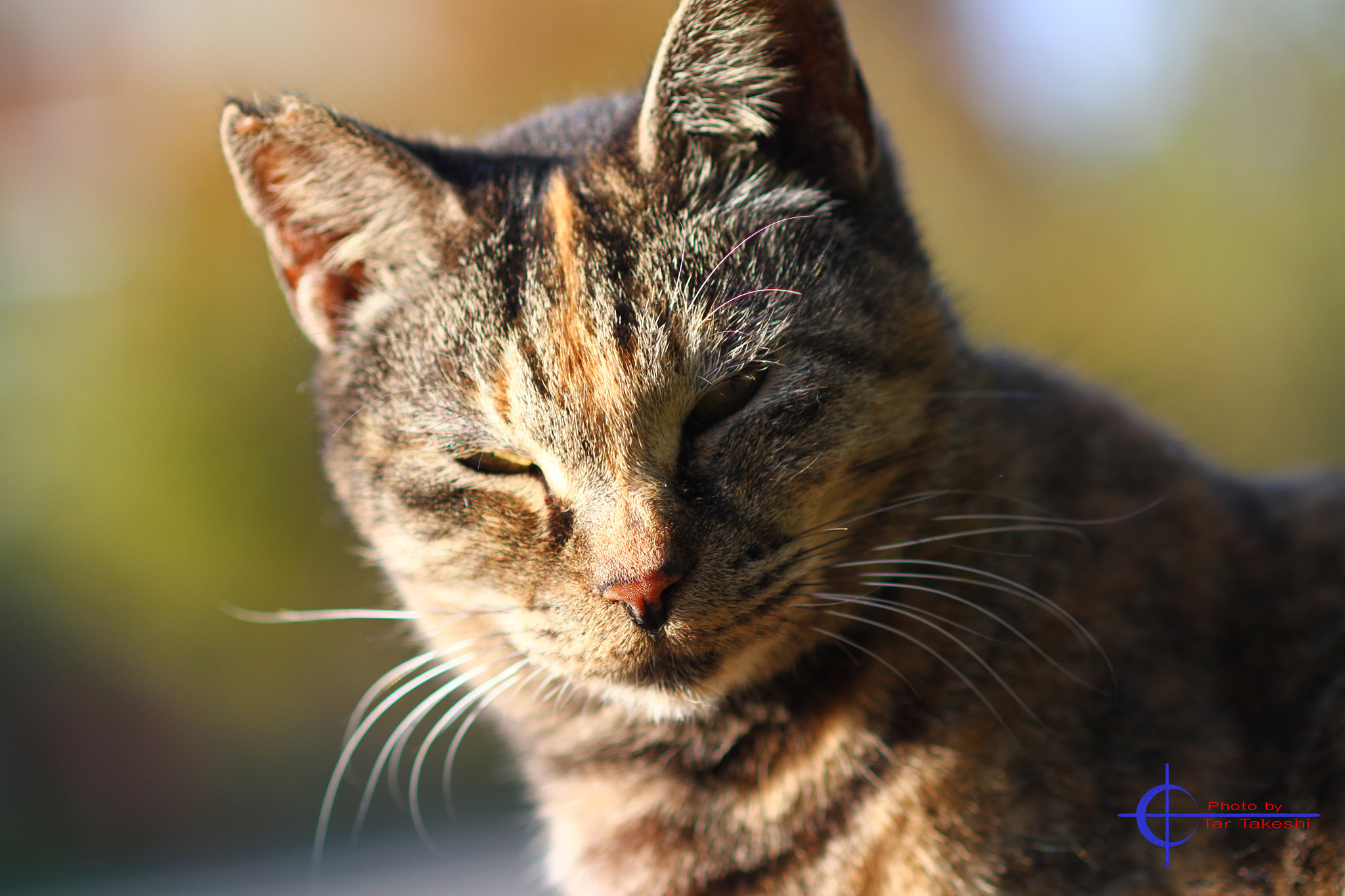 Canon EF 100mm F2.8 Macro USM sample photo. Img photography