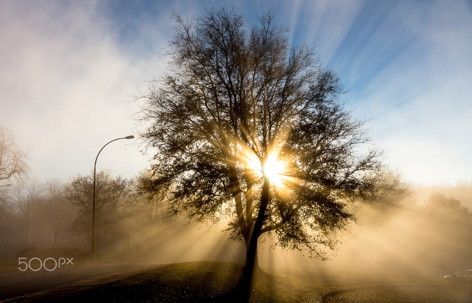 Canon EOS 650D (EOS Rebel T4i / EOS Kiss X6i) sample photo. Misty sunrise photography