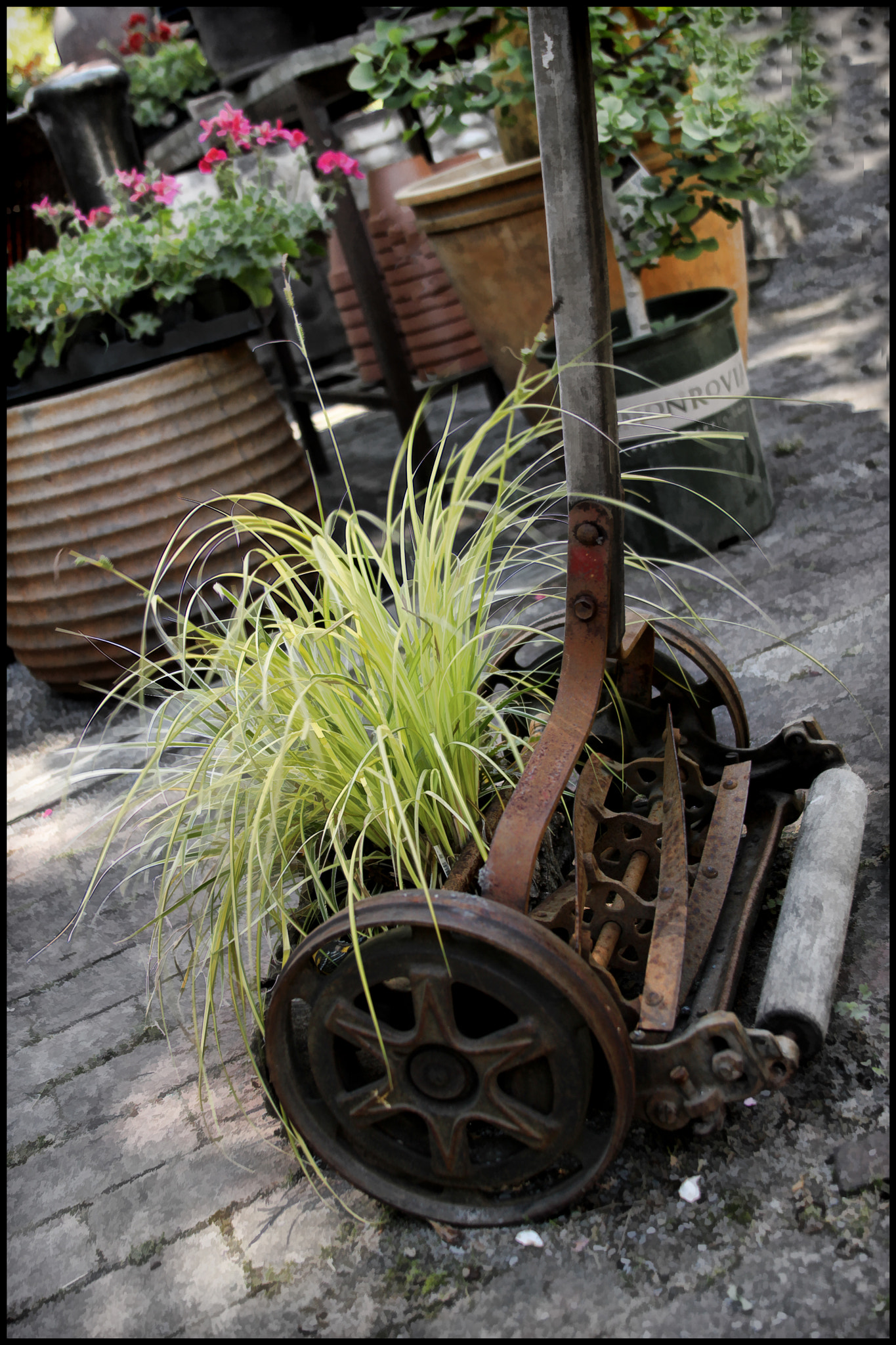 Canon EF 28-135mm F3.5-5.6 IS USM sample photo. Mow... photography