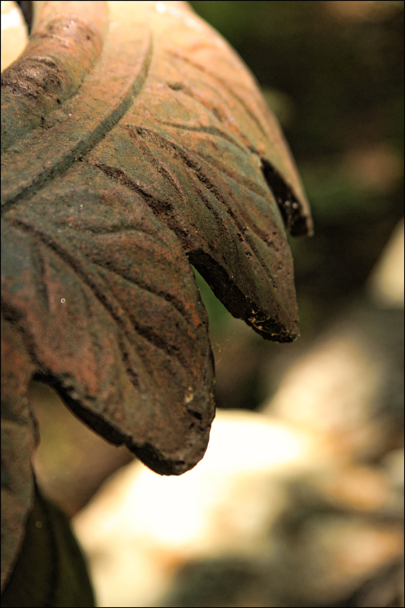 Canon EF 28-135mm F3.5-5.6 IS USM sample photo. Urn... photography