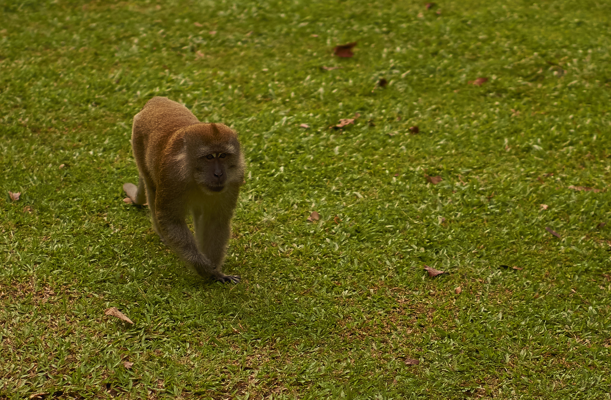 Sony E 50mm F1.8 OSS sample photo. Dsc photography