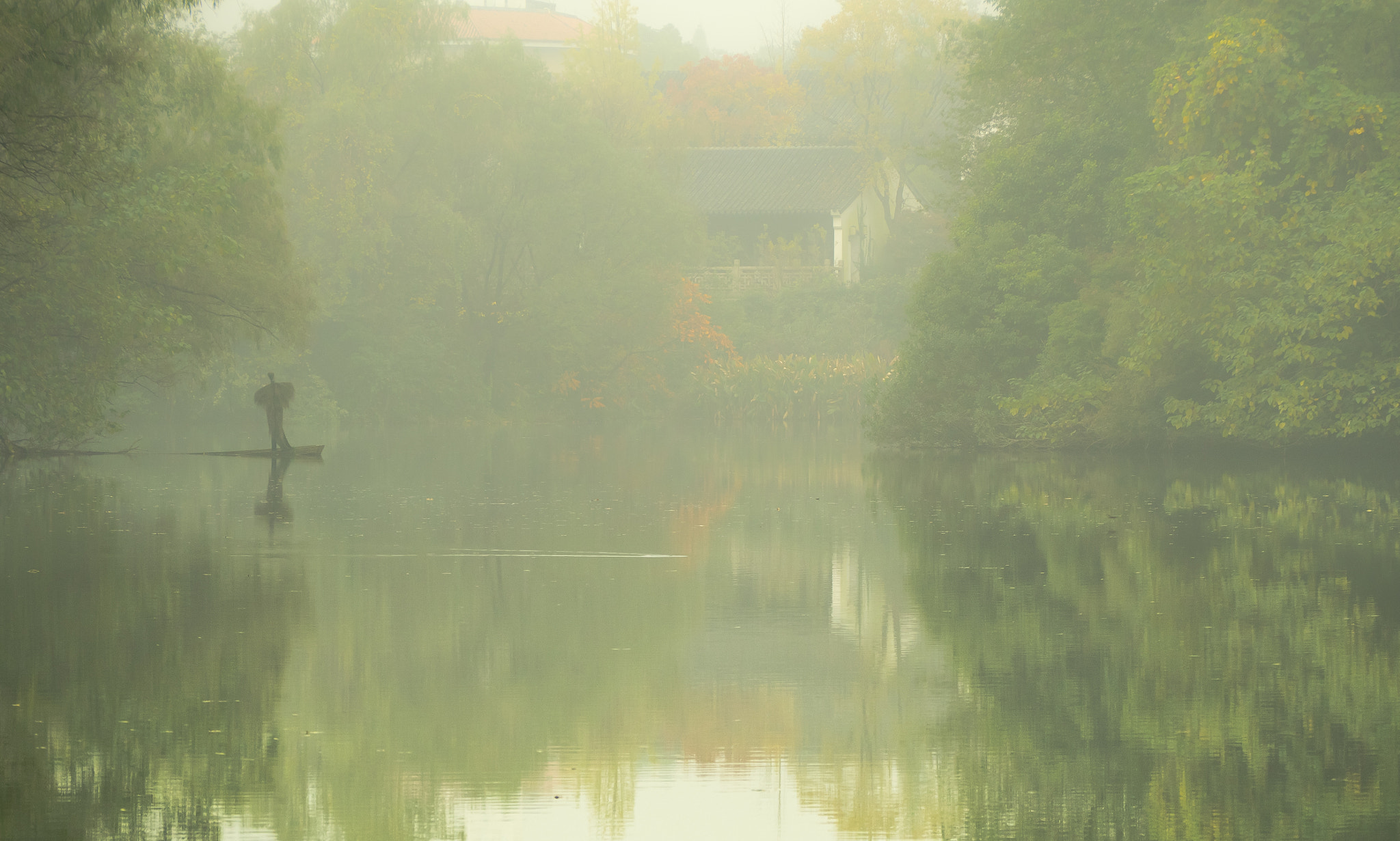 Olympus OM-D E-M5 II sample photo. Fog in west lake photography